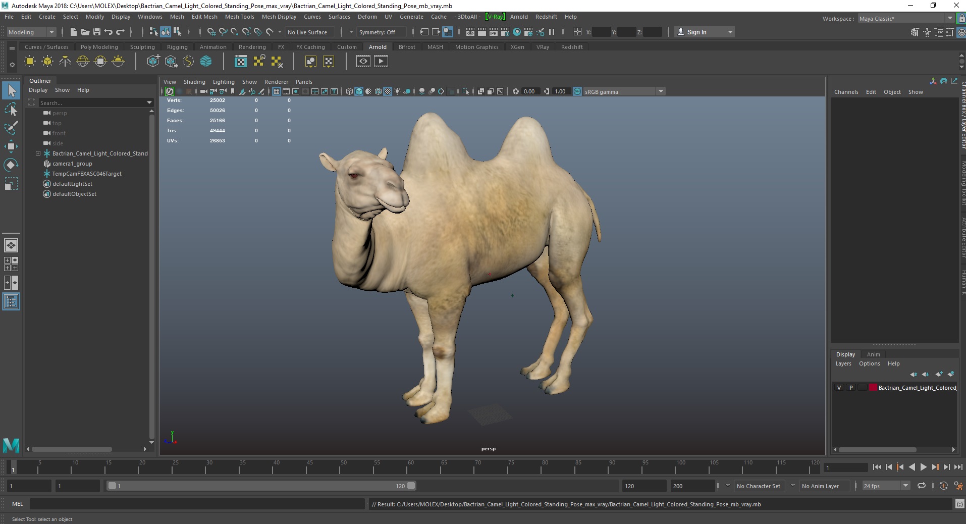 Bactrian Camel Light Colored Standing Pose 3D