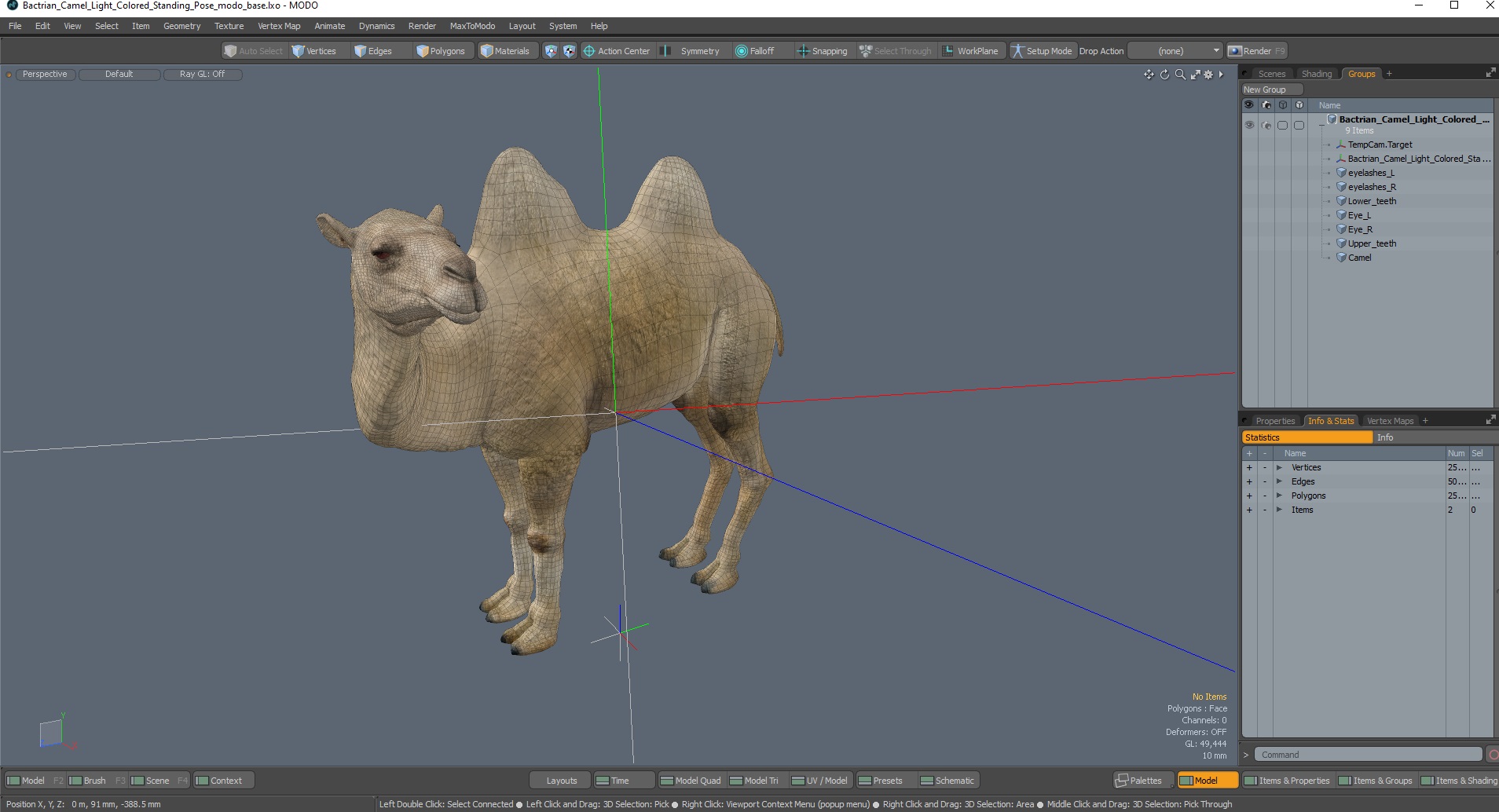 Bactrian Camel Light Colored Standing Pose 3D
