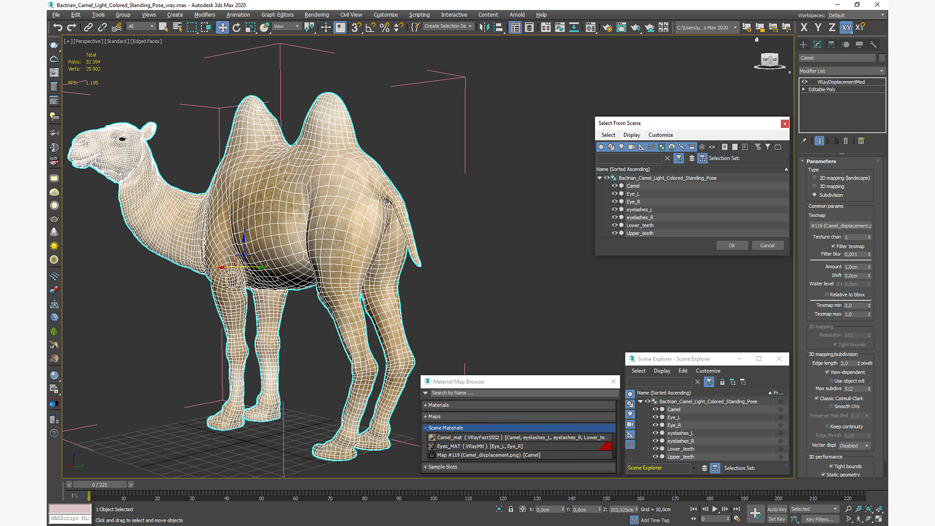 Bactrian Camel Light Colored Standing Pose 3D