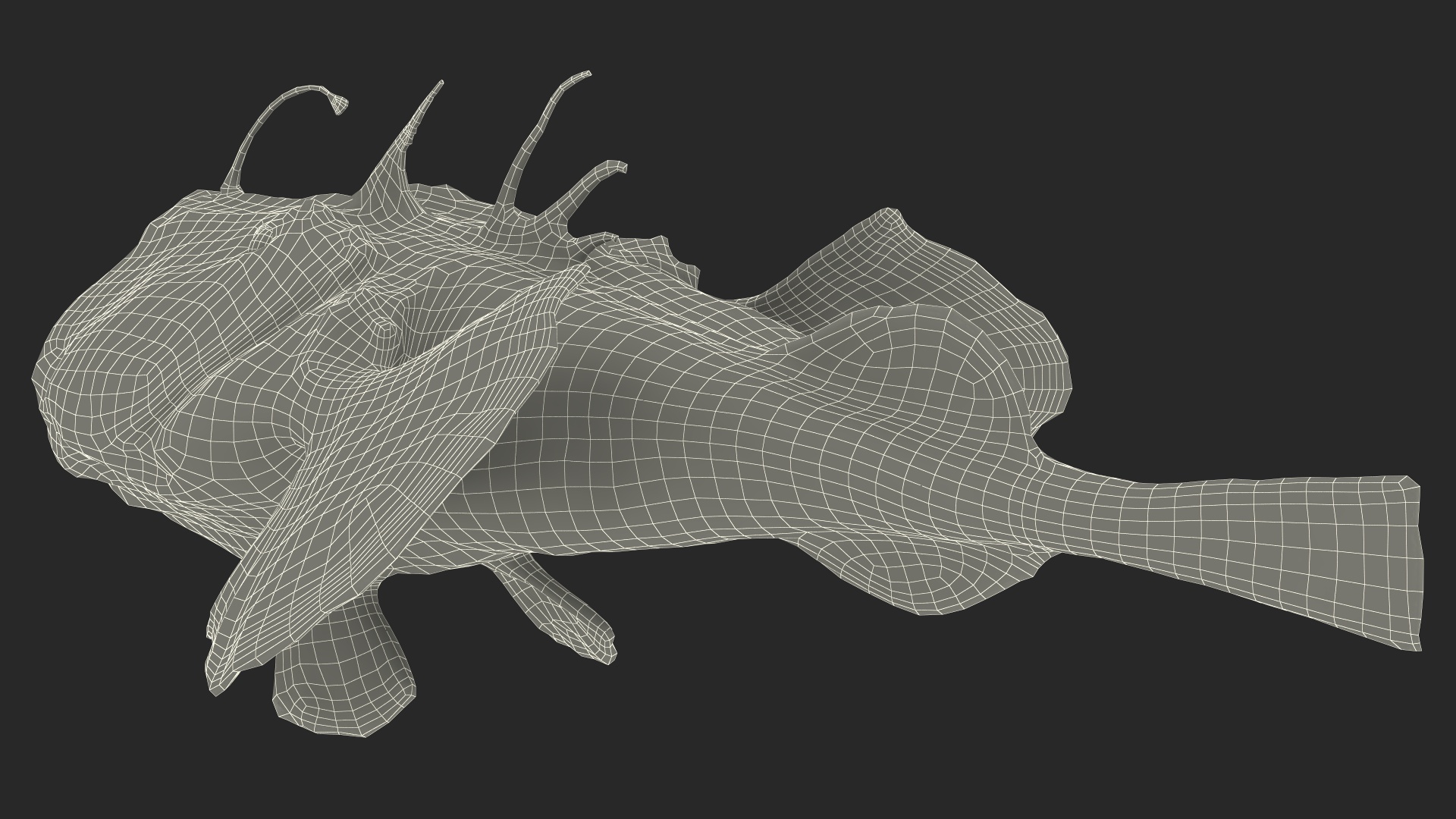 Lophius Piscatorius 3D model