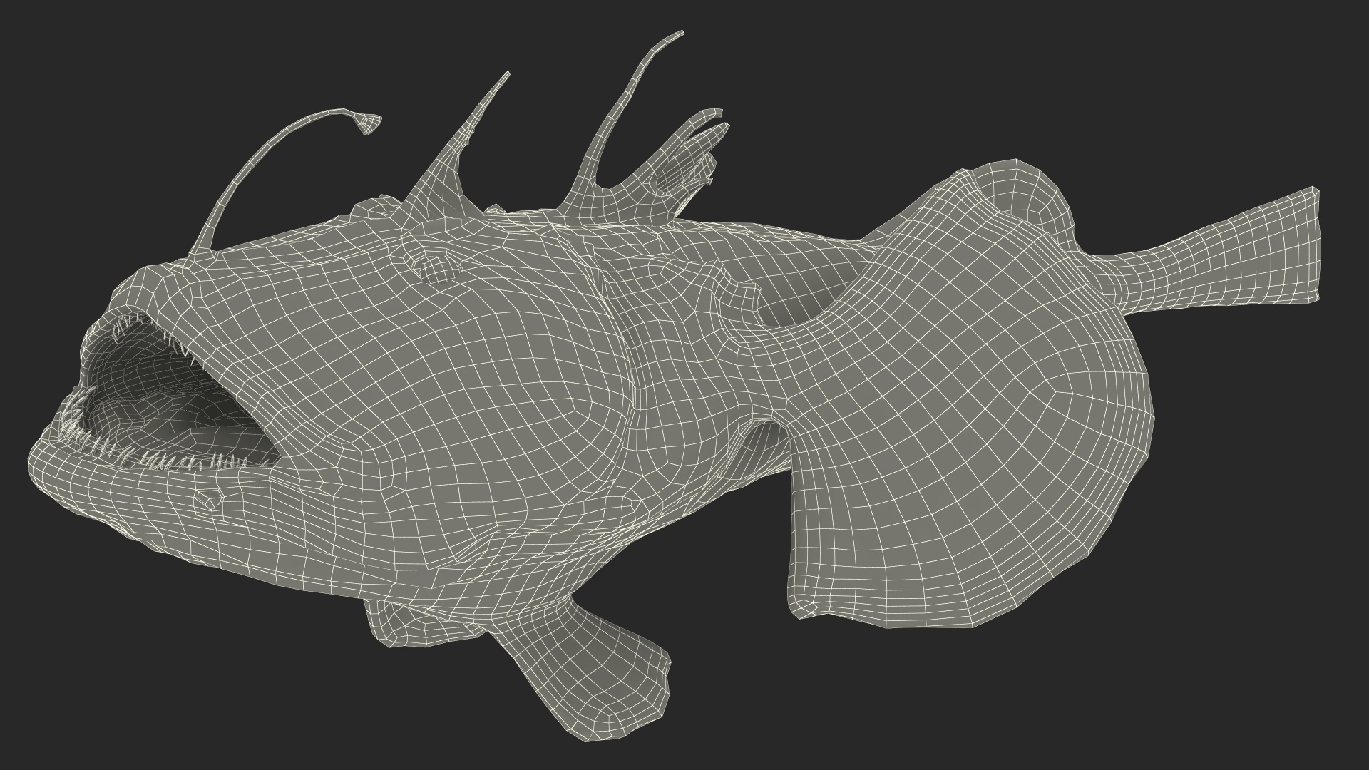 Lophius Piscatorius 3D model