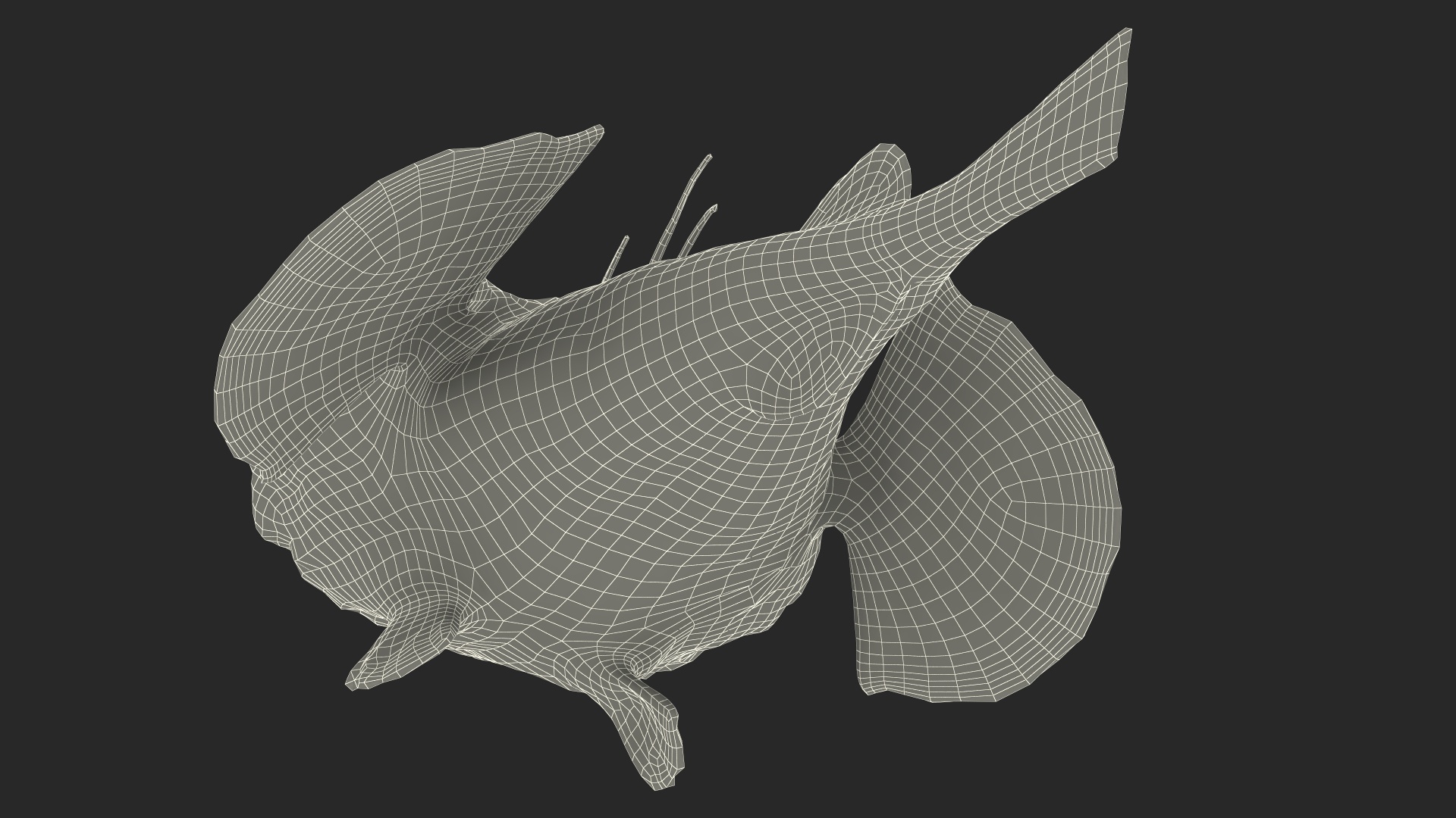 Lophius Piscatorius 3D model