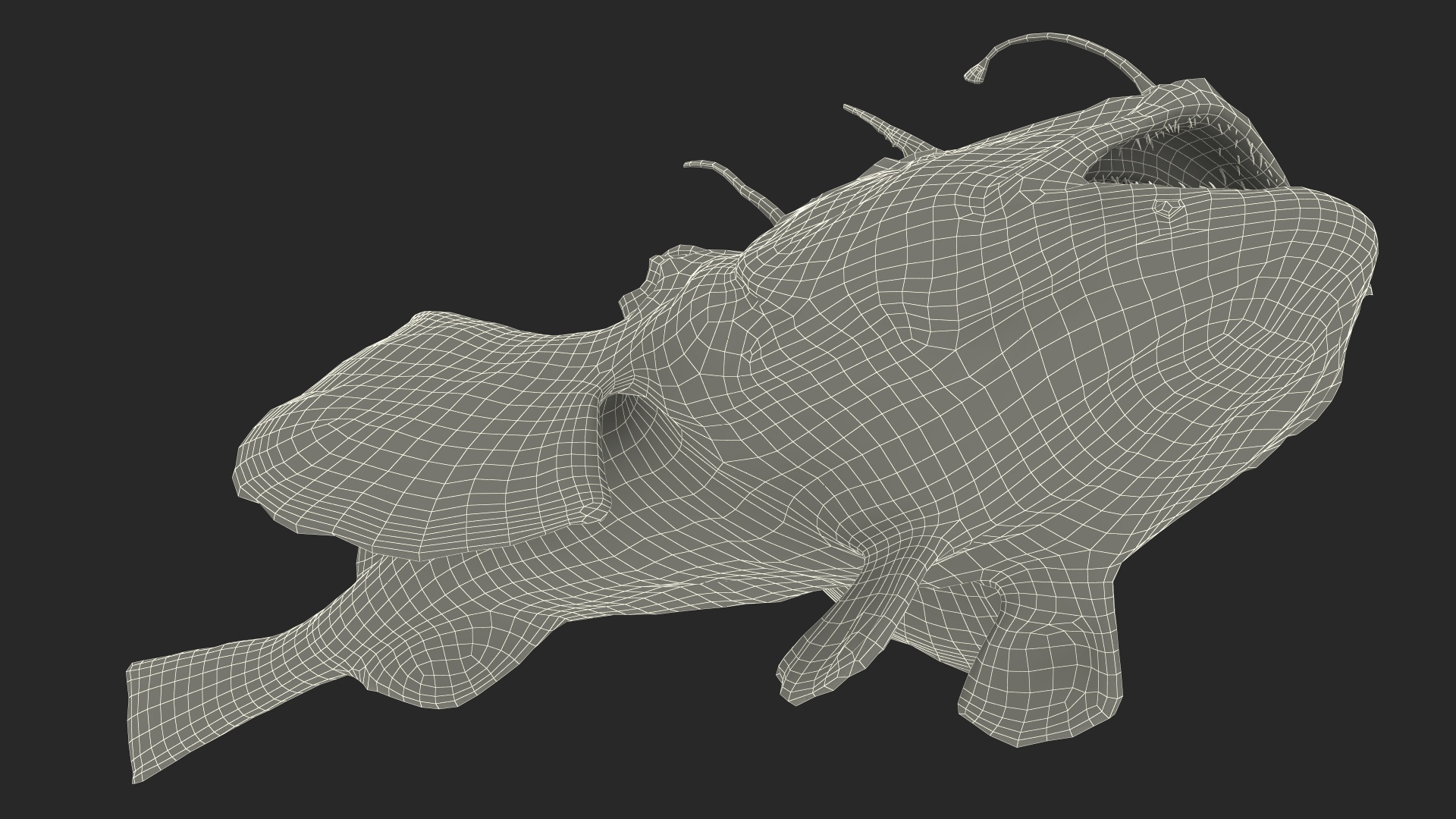 Lophius Piscatorius 3D model