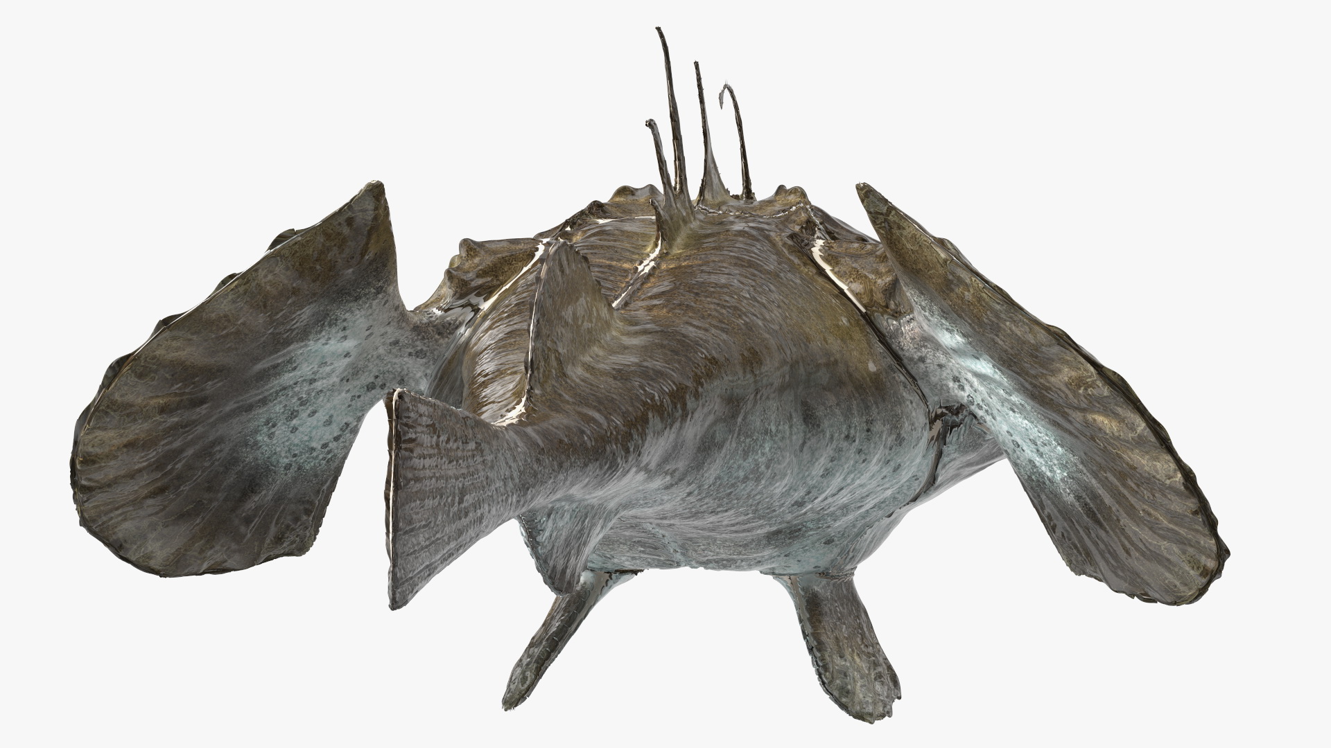 Lophius Piscatorius 3D model
