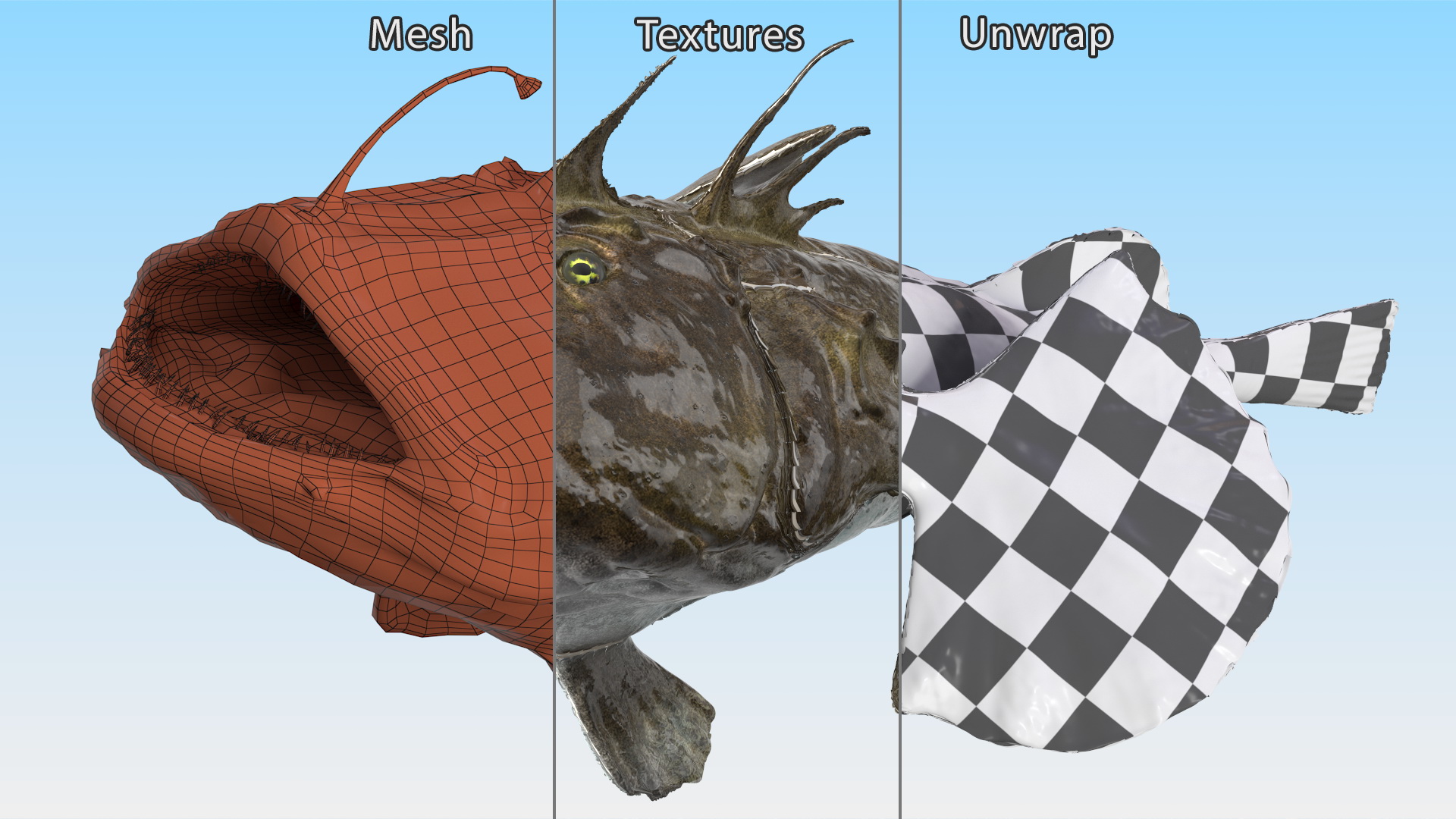 Lophius Piscatorius 3D model