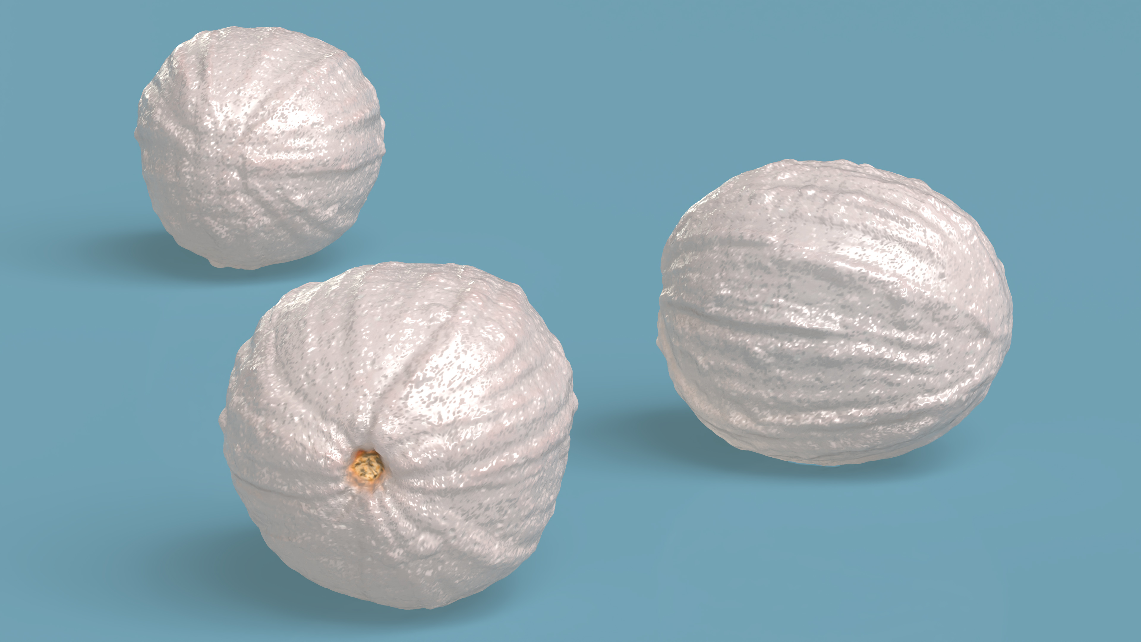 Peeled Lychee Fruit 3D model