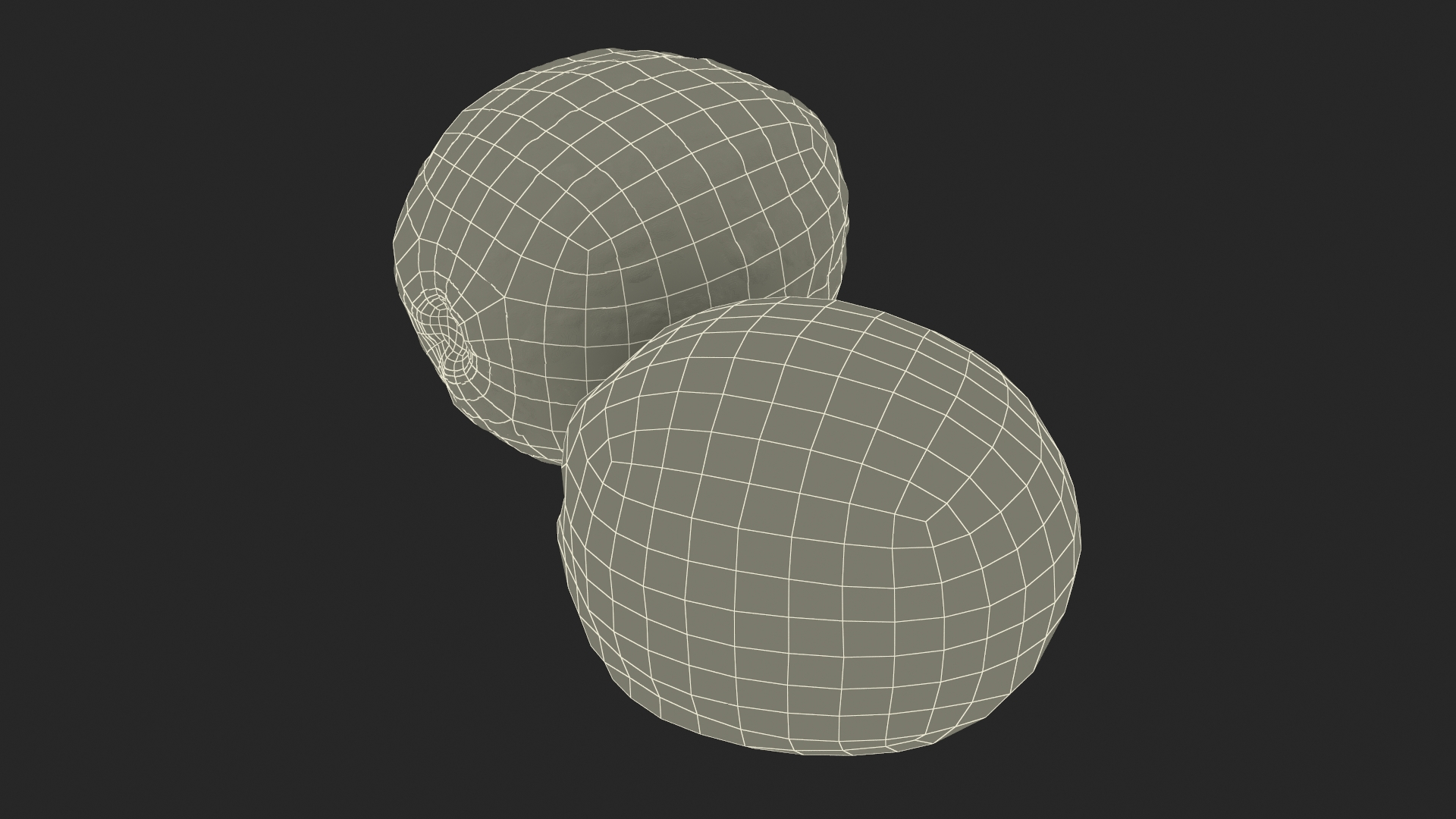 Peeled Lychee Fruit 3D model