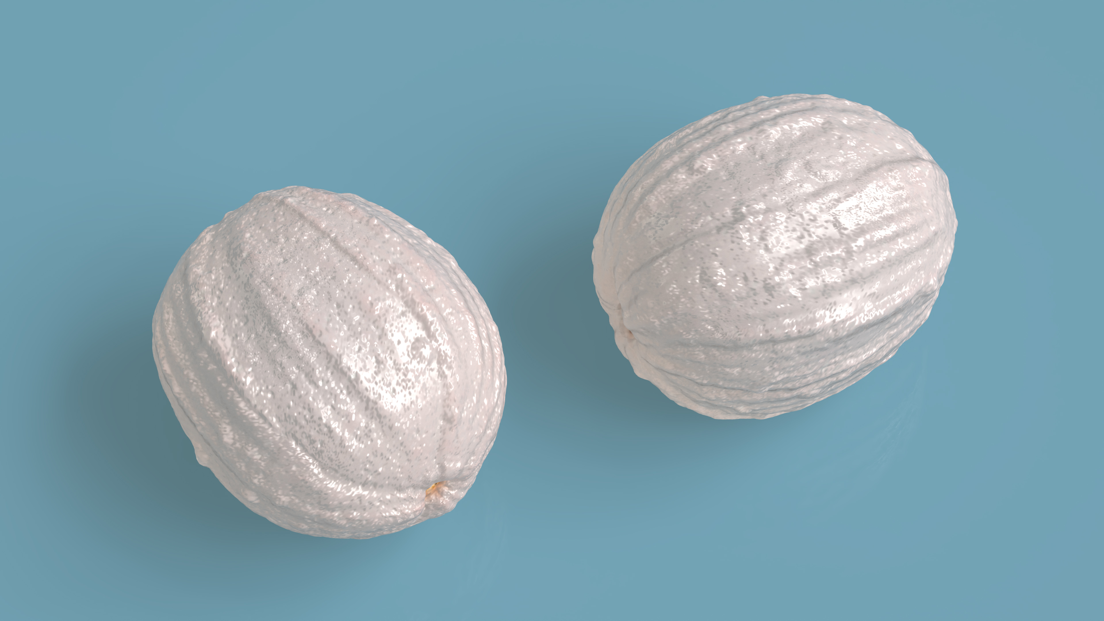 Peeled Lychee Fruit 3D model