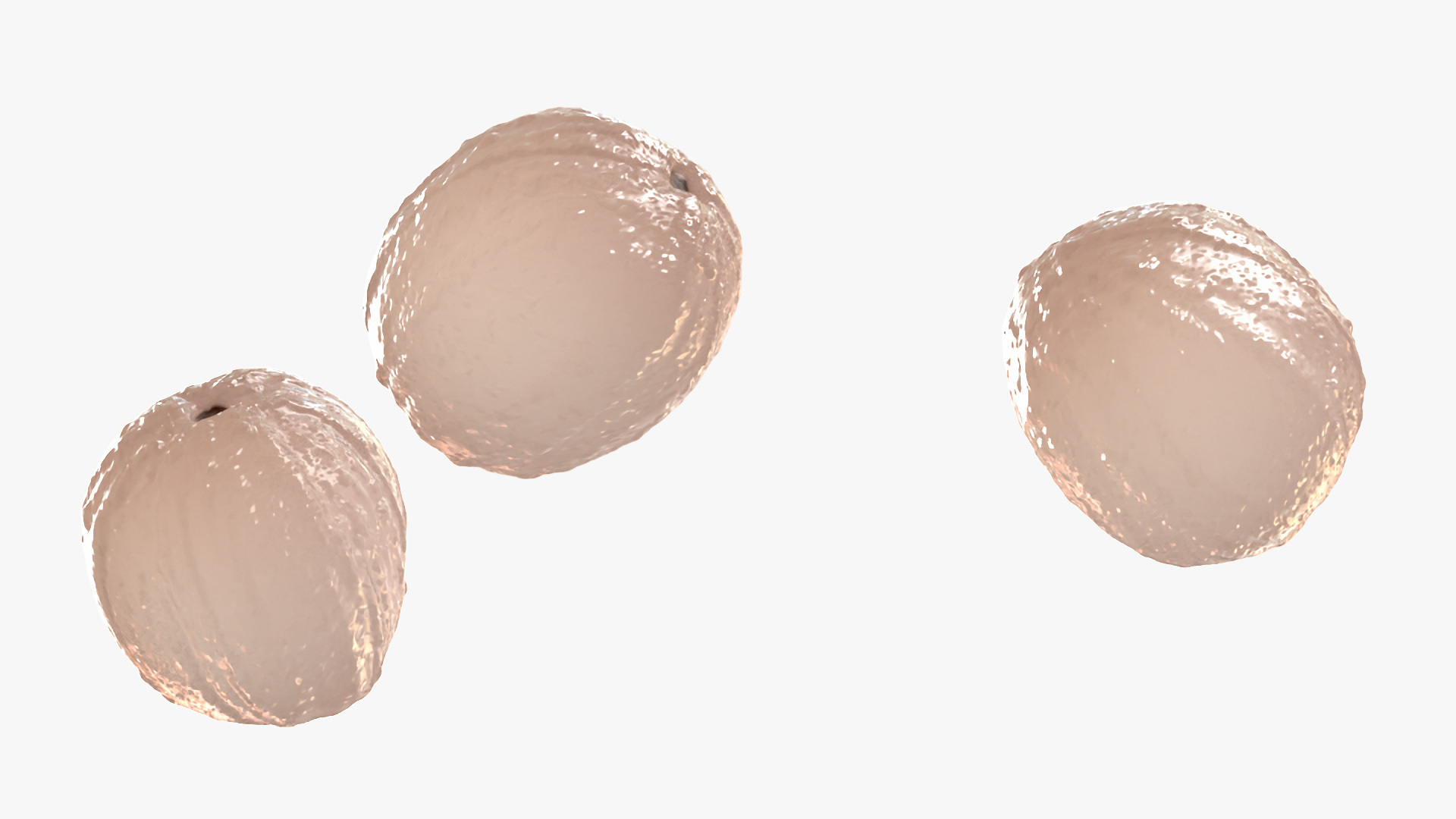Peeled Lychee Fruit 3D model