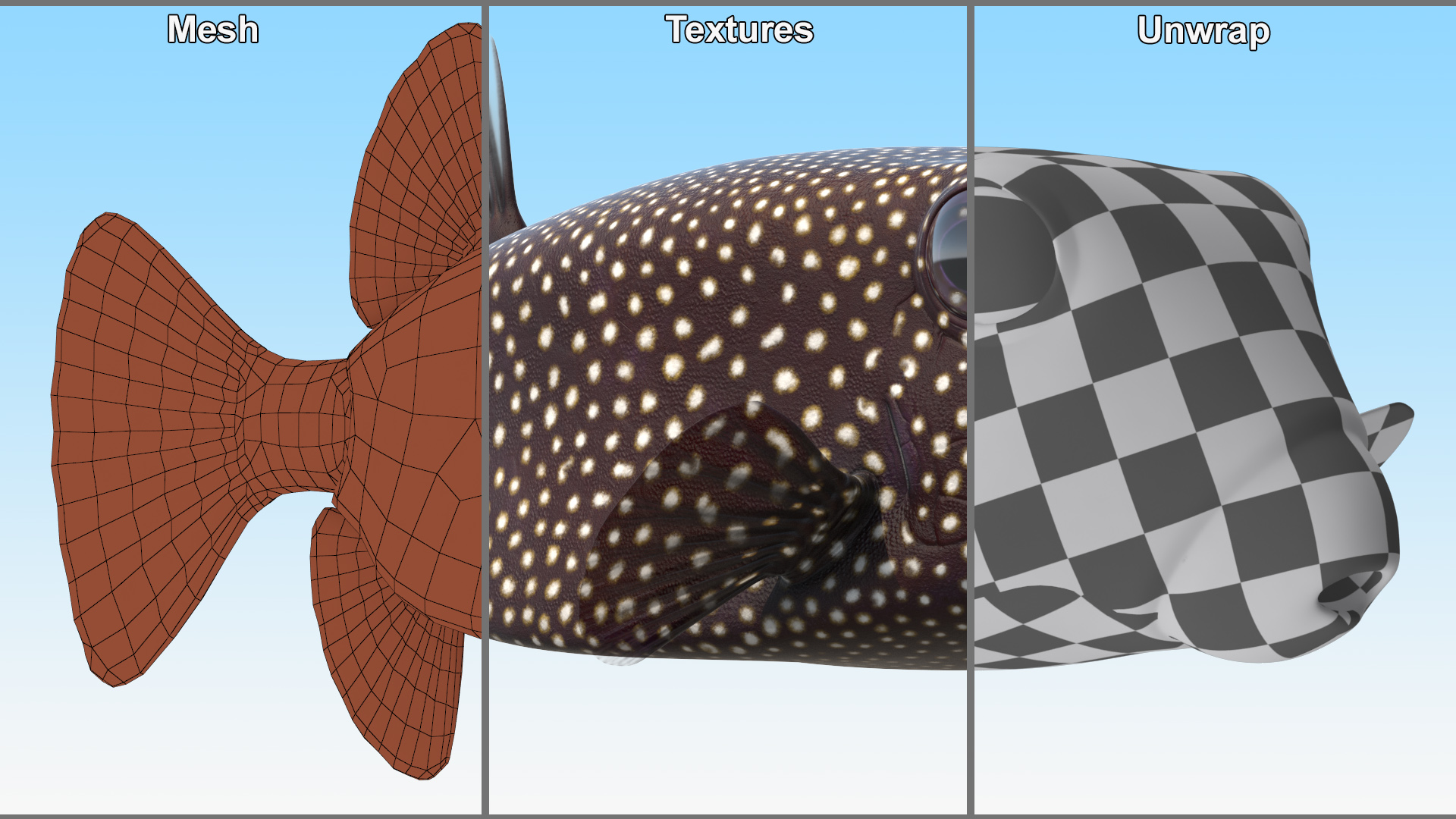 3D model Ostracion Meleagris Fish Brown
