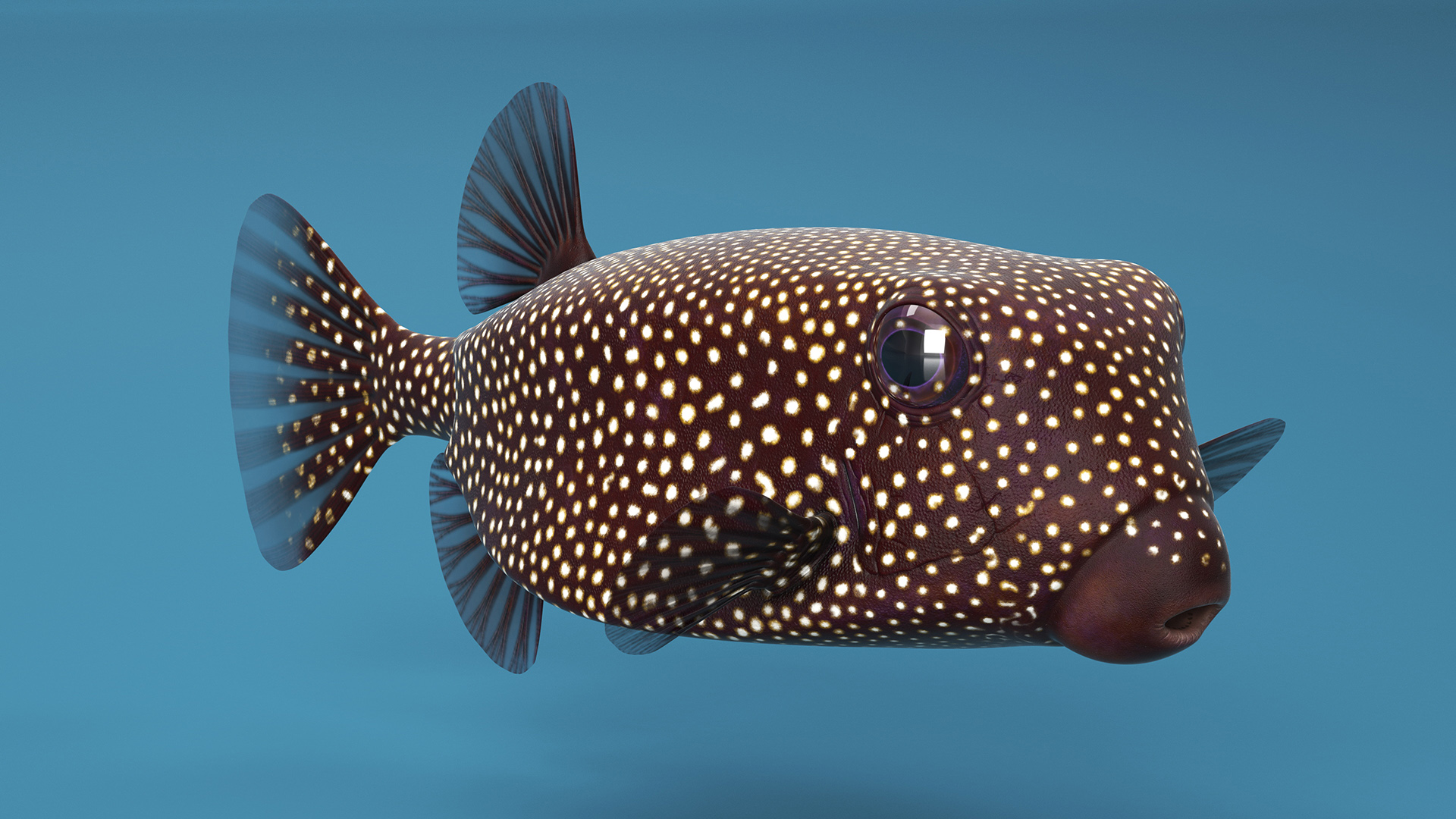 3D model Ostracion Meleagris Fish Brown