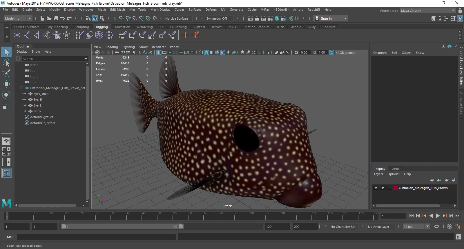 3D model Ostracion Meleagris Fish Brown