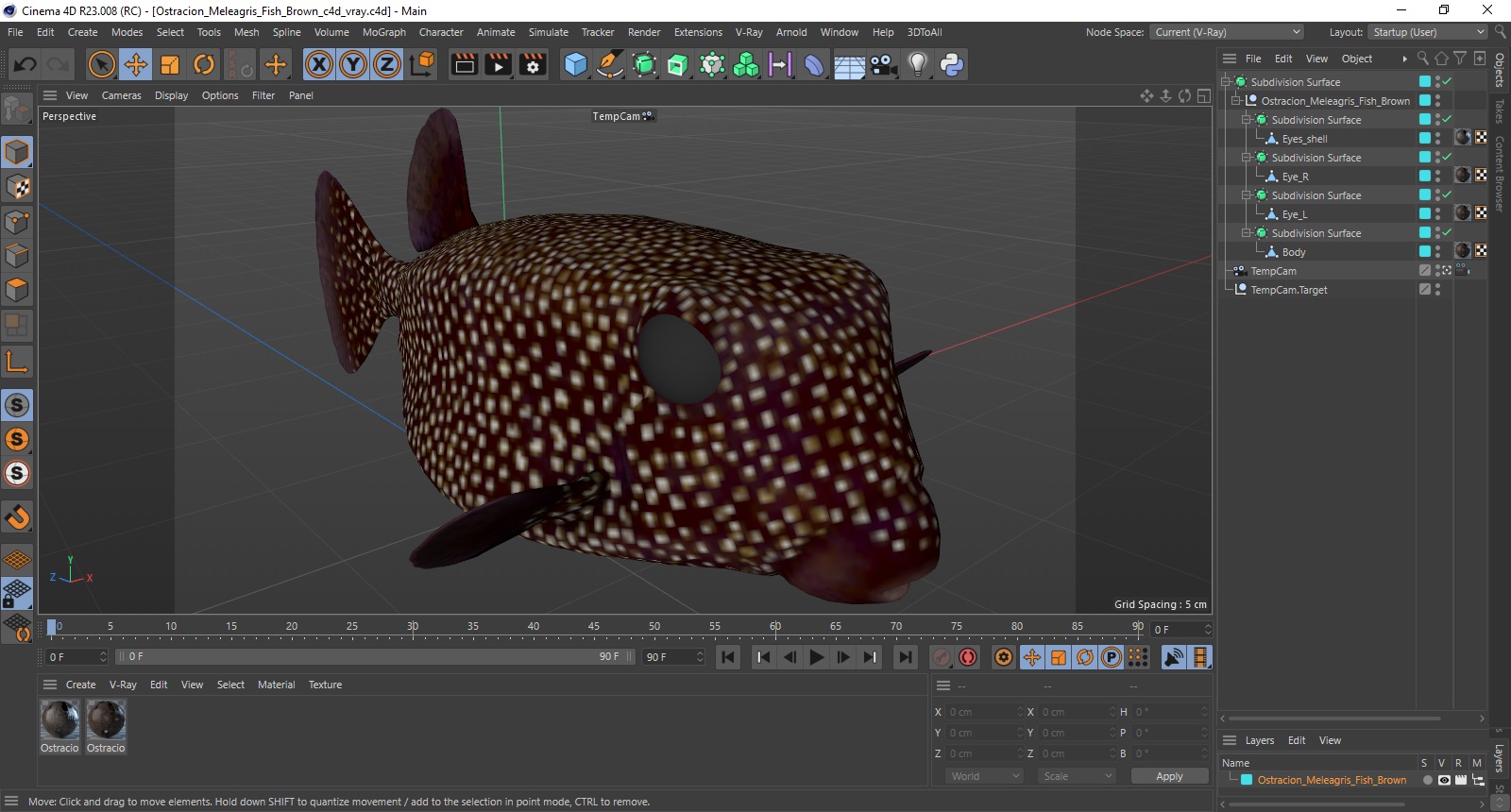 3D model Ostracion Meleagris Fish Brown