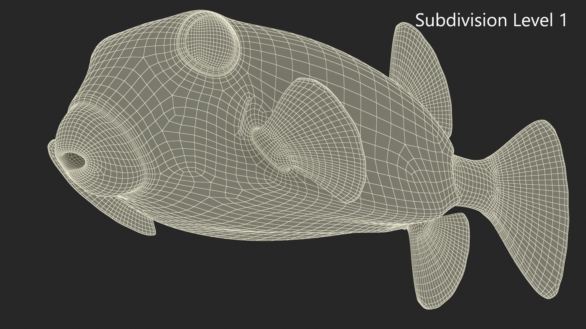 3D model Ostracion Meleagris Fish Brown