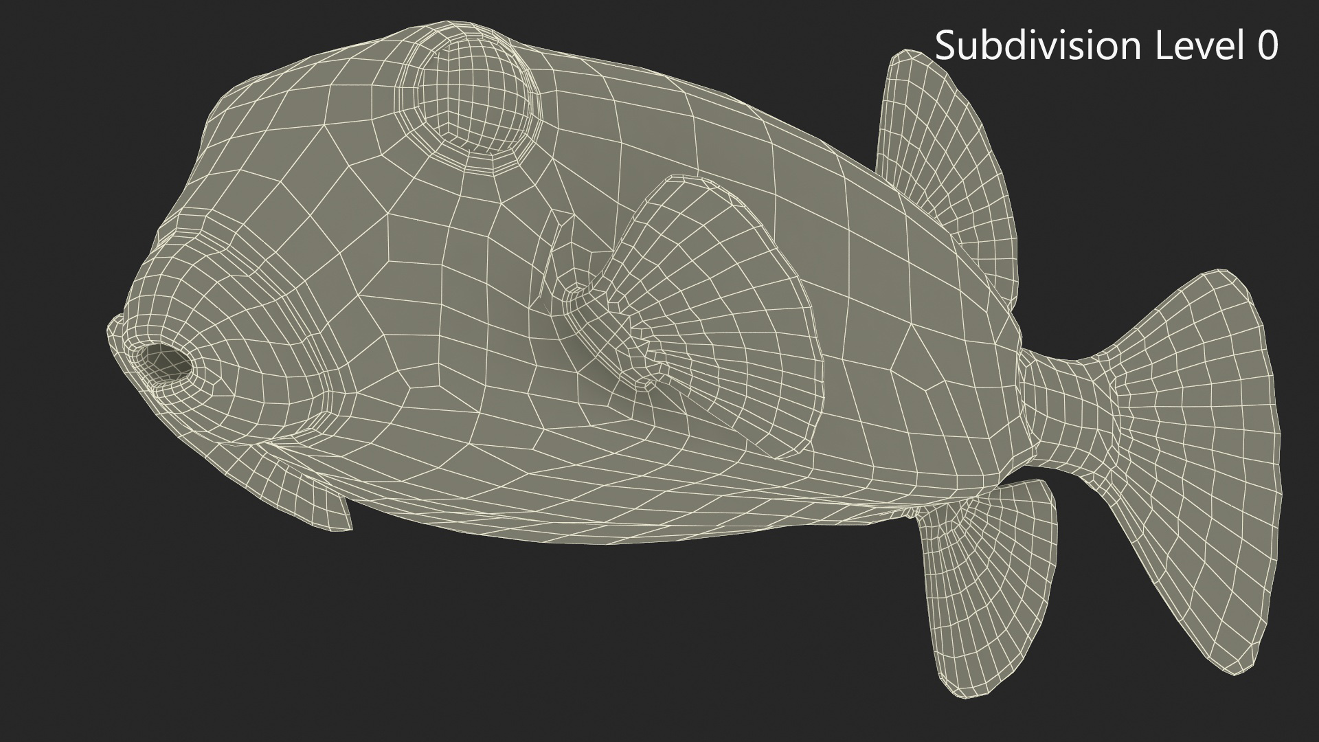3D model Ostracion Meleagris Fish Brown
