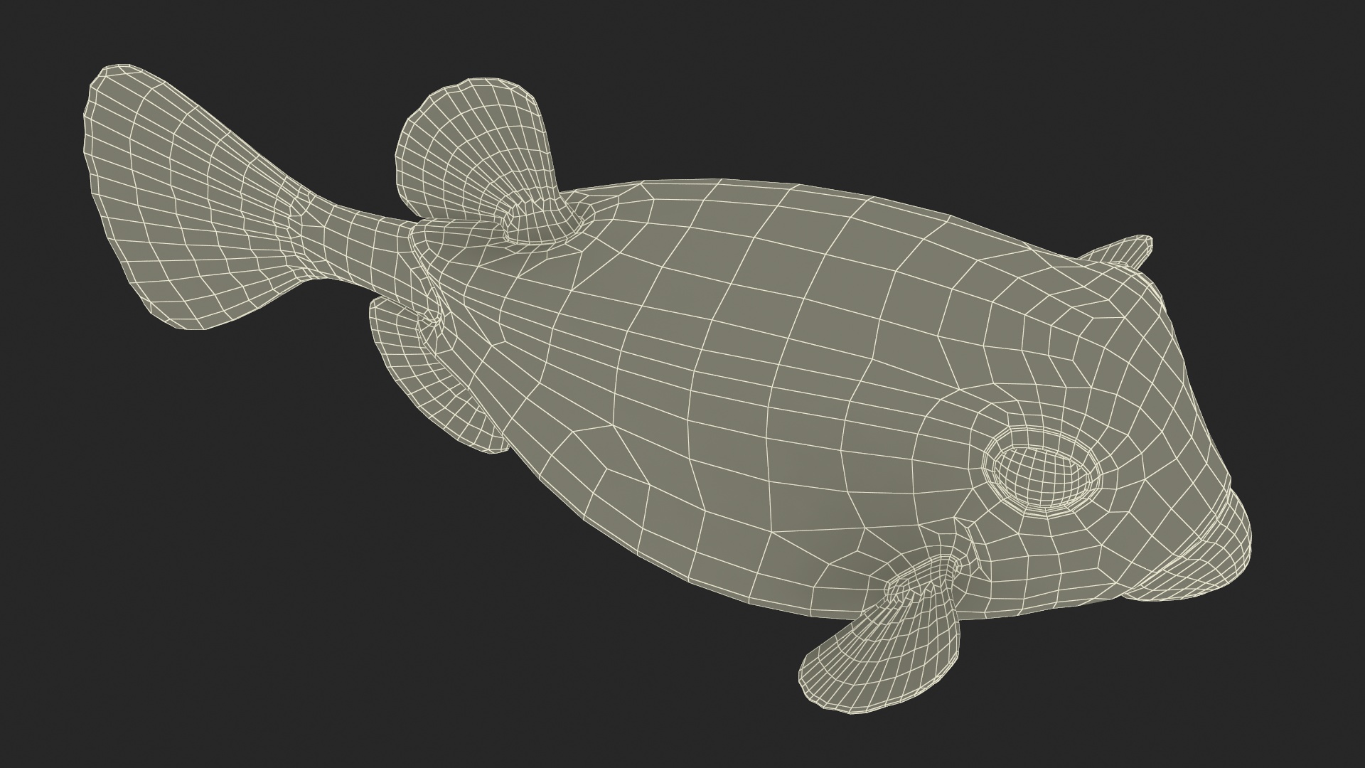 3D model Ostracion Meleagris Fish Brown