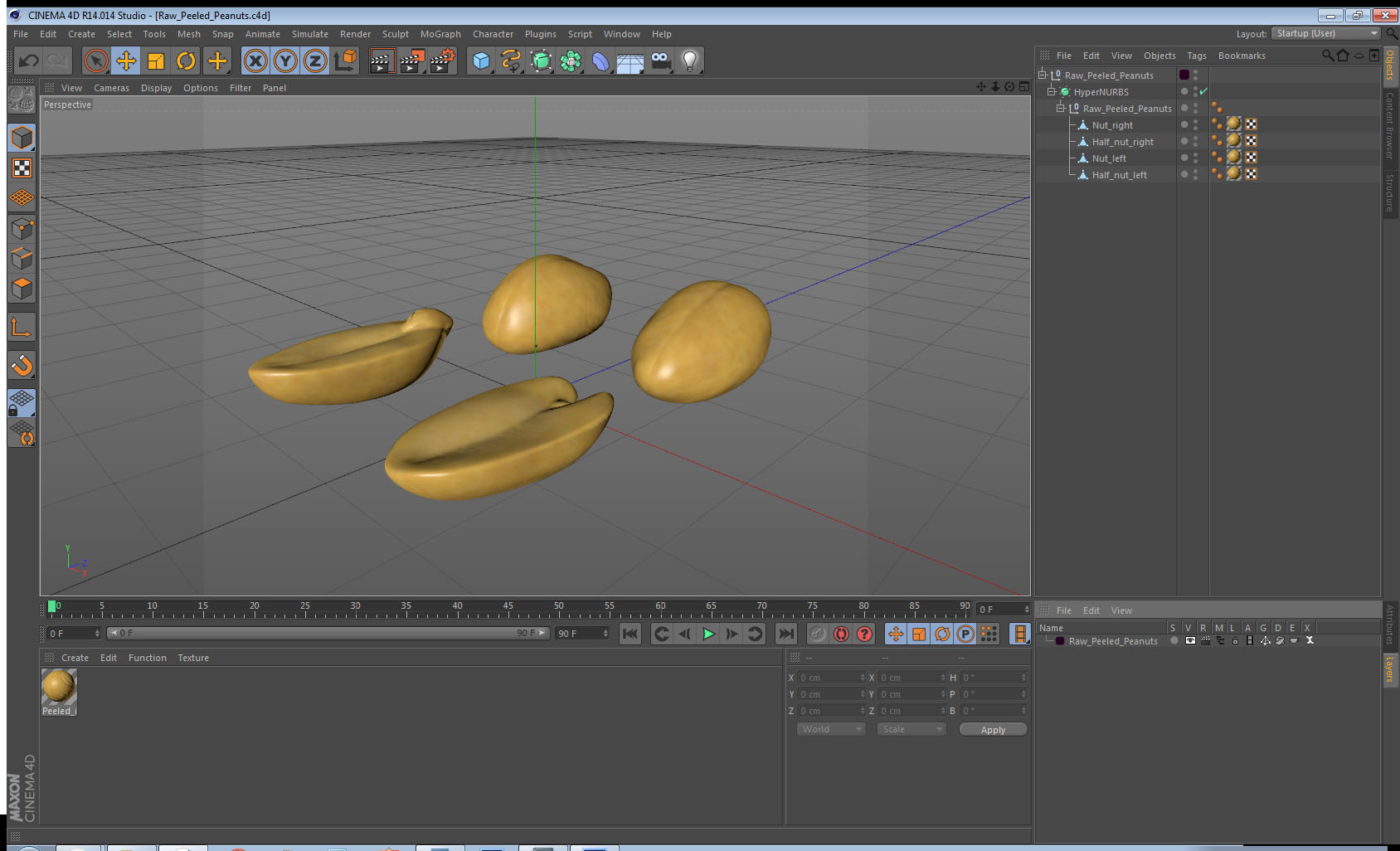3D Raw Peeled Peanuts model