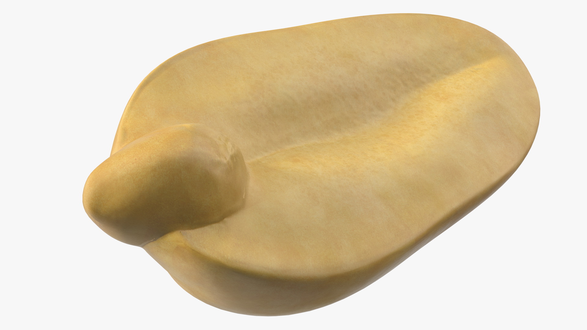 3D Raw Peeled Peanuts model