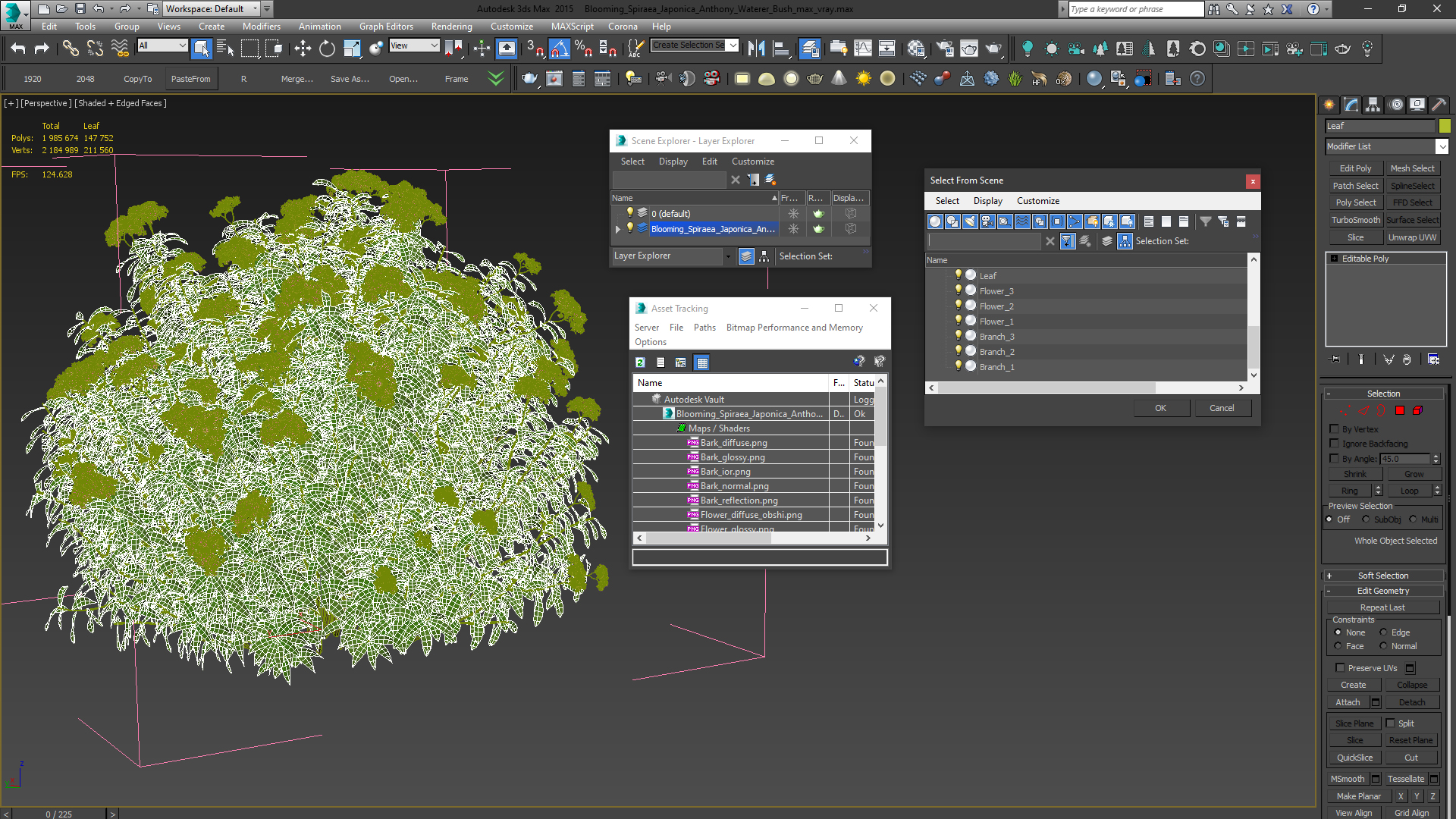 3D Blooming Spiraea Japonica Anthony Waterer Bush