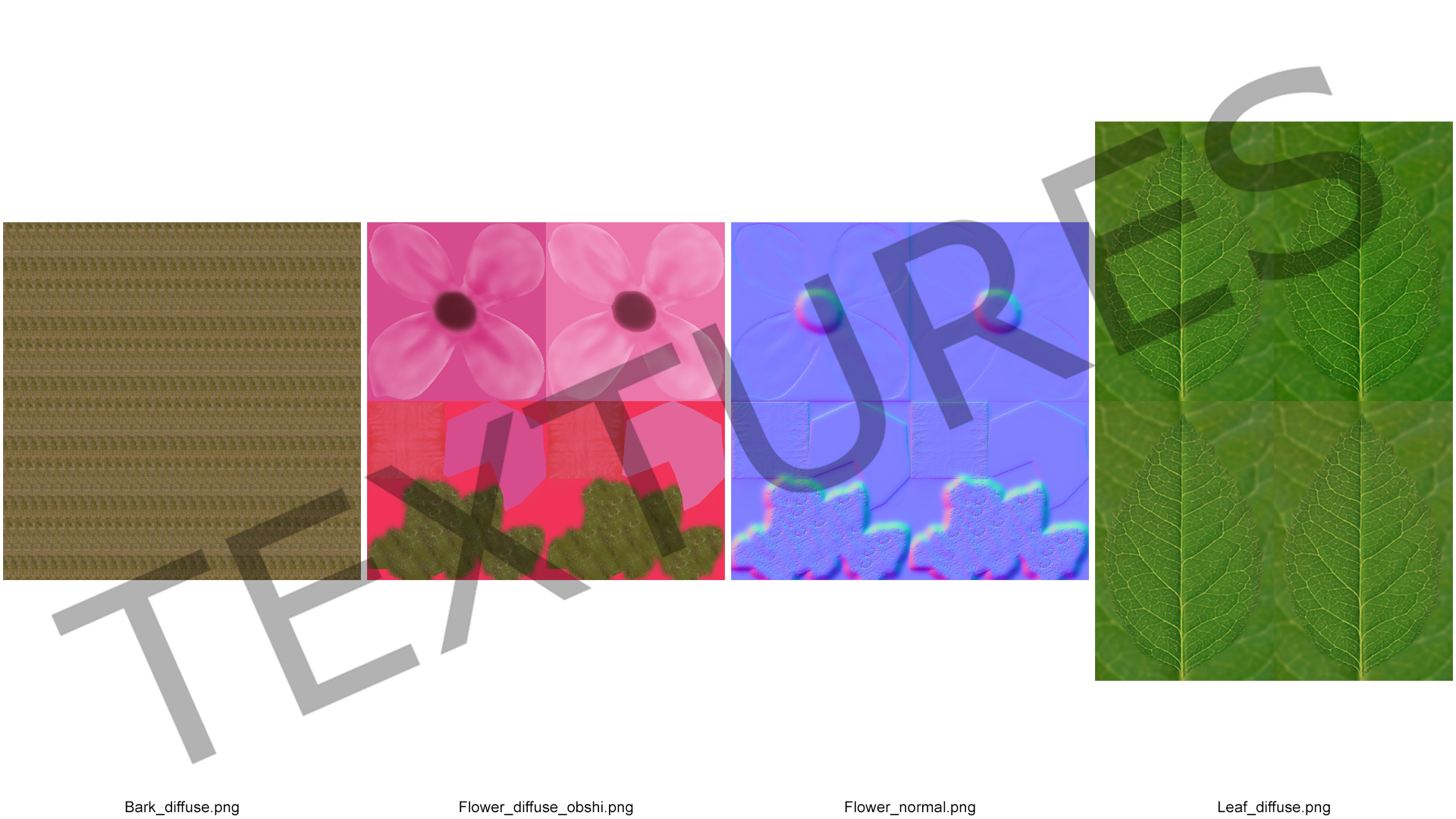 3D Blooming Spiraea Japonica Anthony Waterer Bush