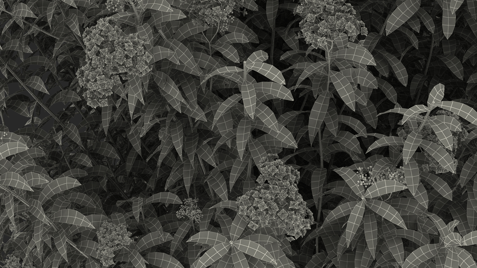 3D Blooming Spiraea Japonica Anthony Waterer Bush