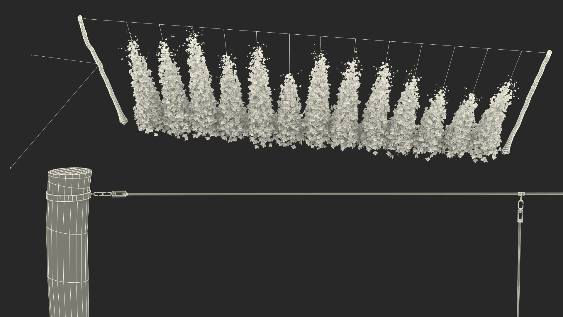 3D Growing Green Hops on the Plantation