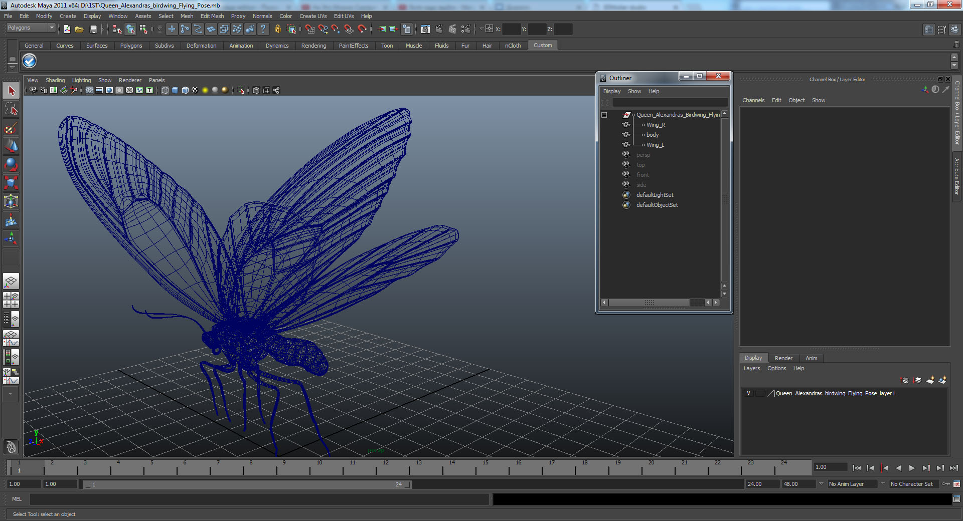 Queen Alexandras Birdwing Flying Pose 3D