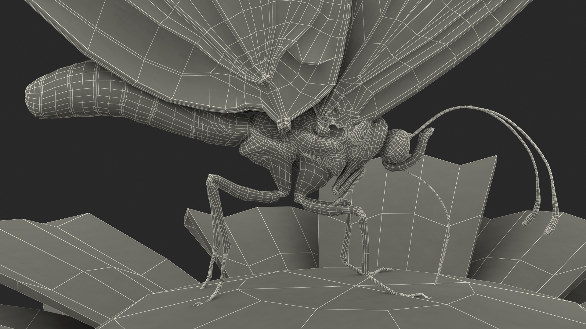 3D Animated Monarch Butterfly Sits on Swinging Flower with Fur Rigged