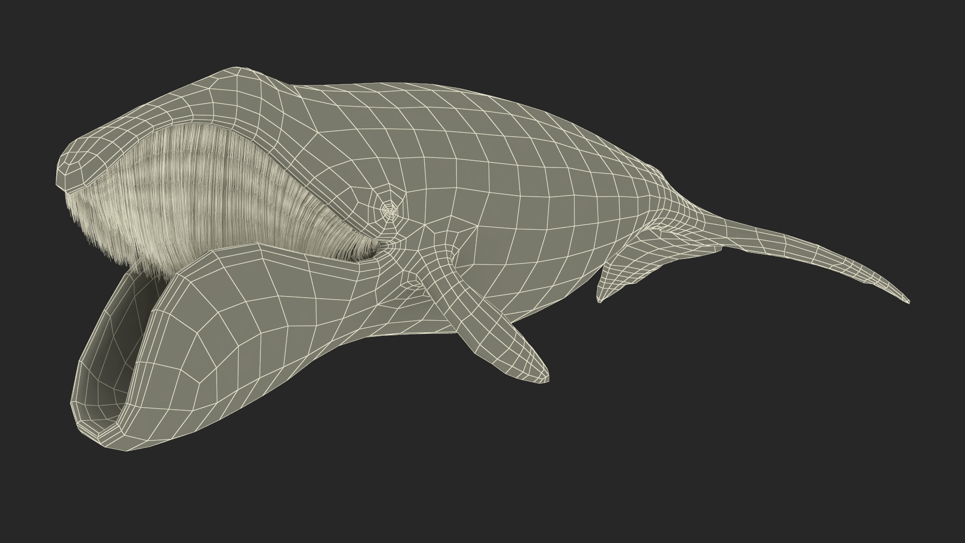3D model Sea Animal Bowhead Whale Rigged for Maya