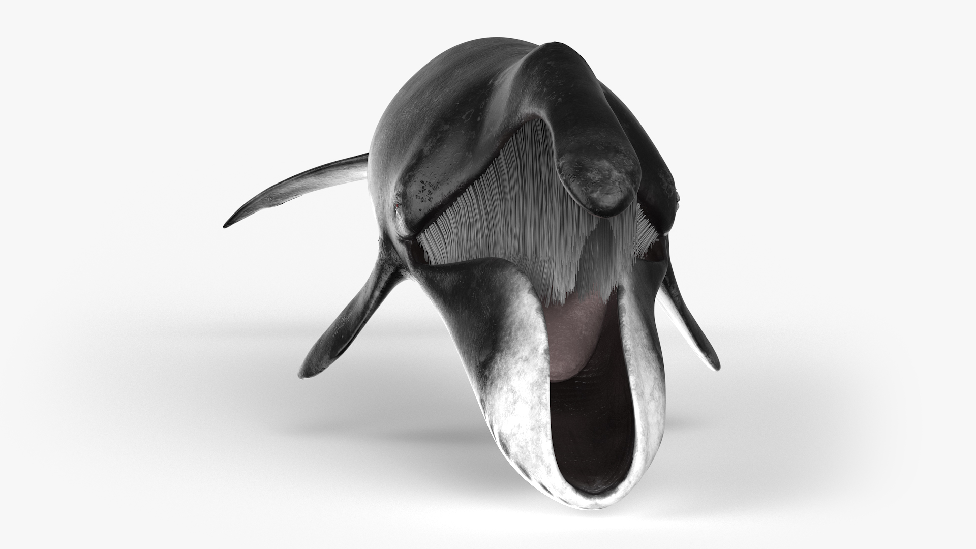 3D model Sea Animal Bowhead Whale Rigged for Maya