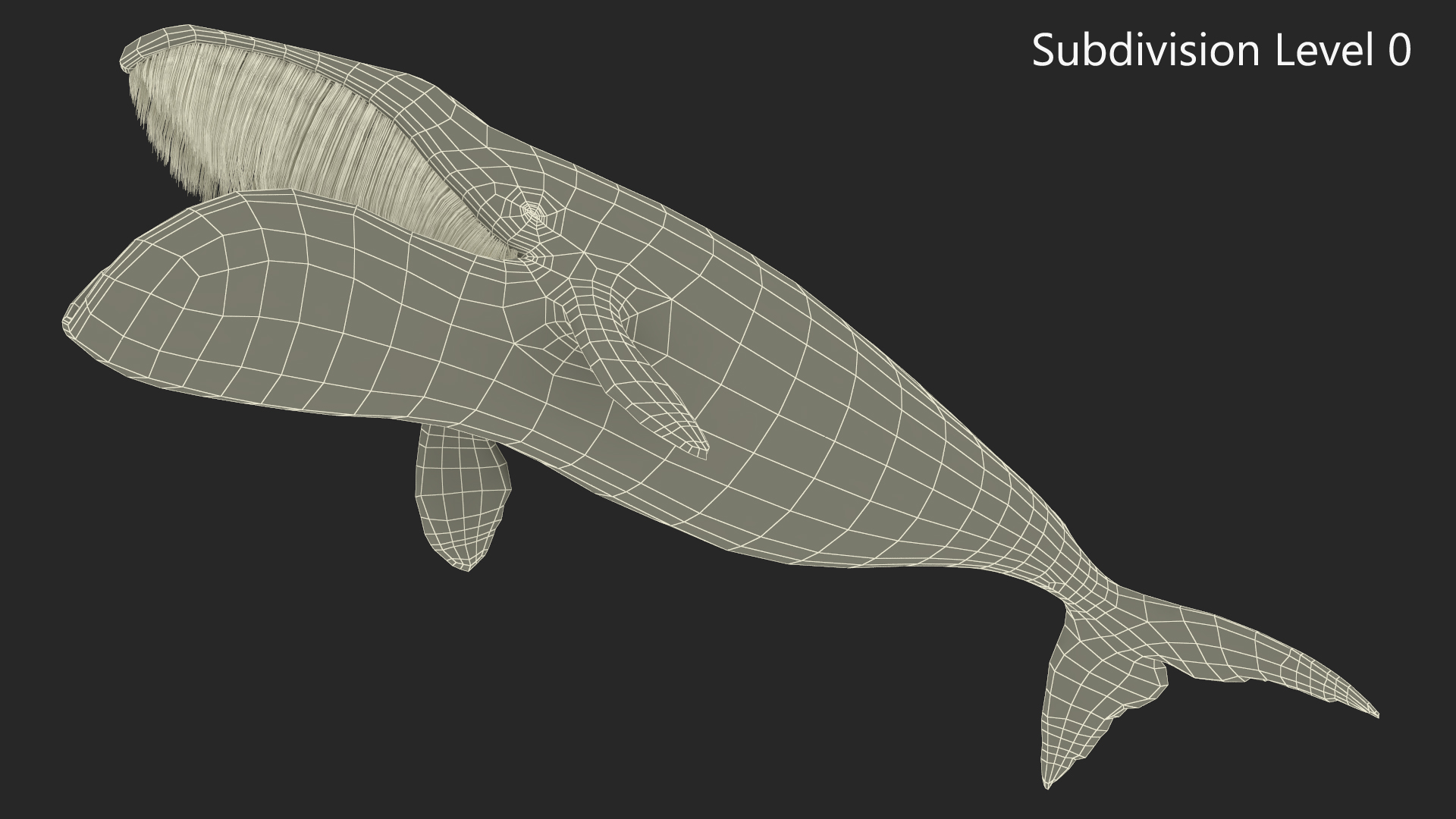 3D model Sea Animal Bowhead Whale Rigged for Maya