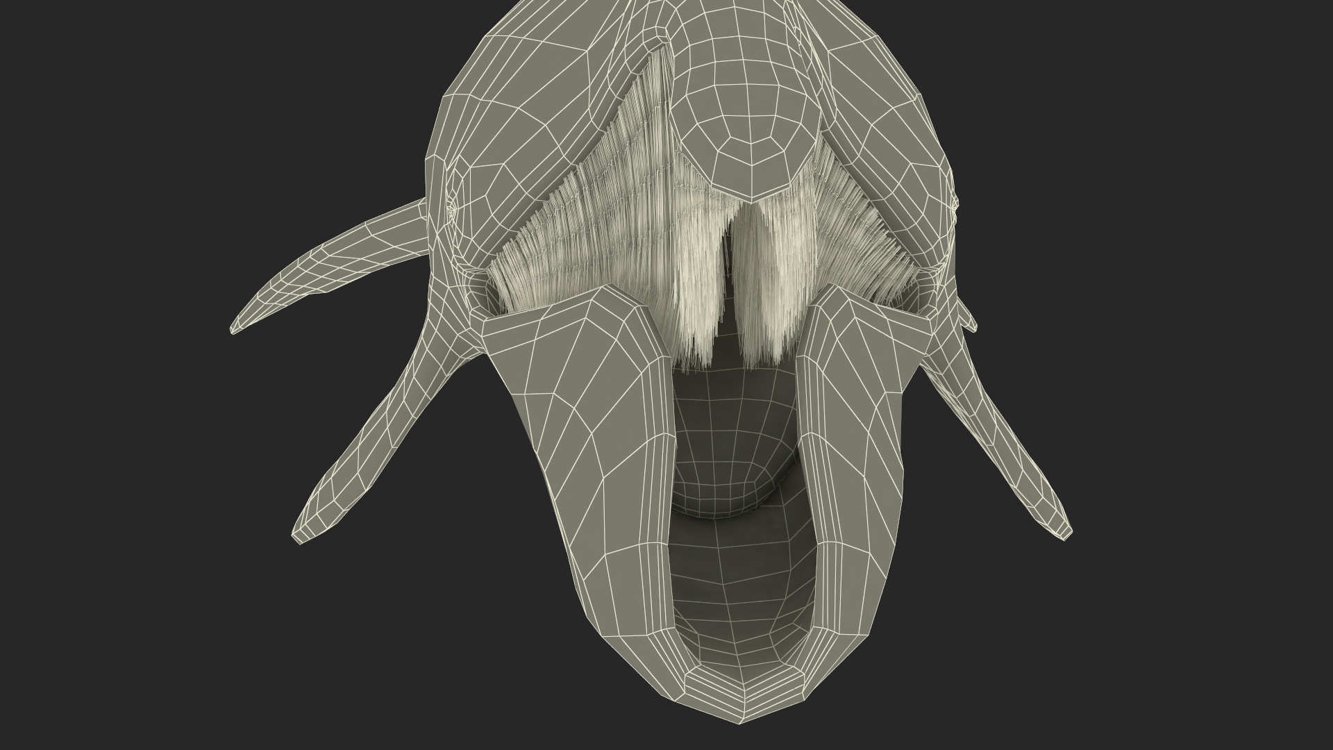 3D model Sea Animal Bowhead Whale Rigged for Maya