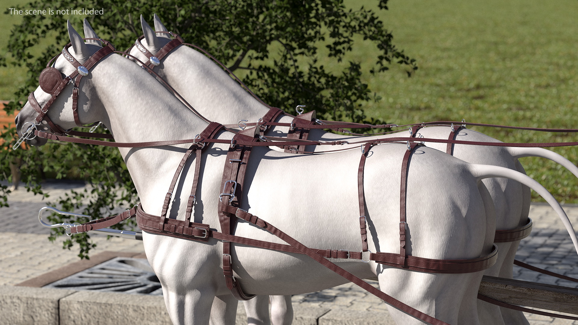 3D Pair Of White Horses with Wagon