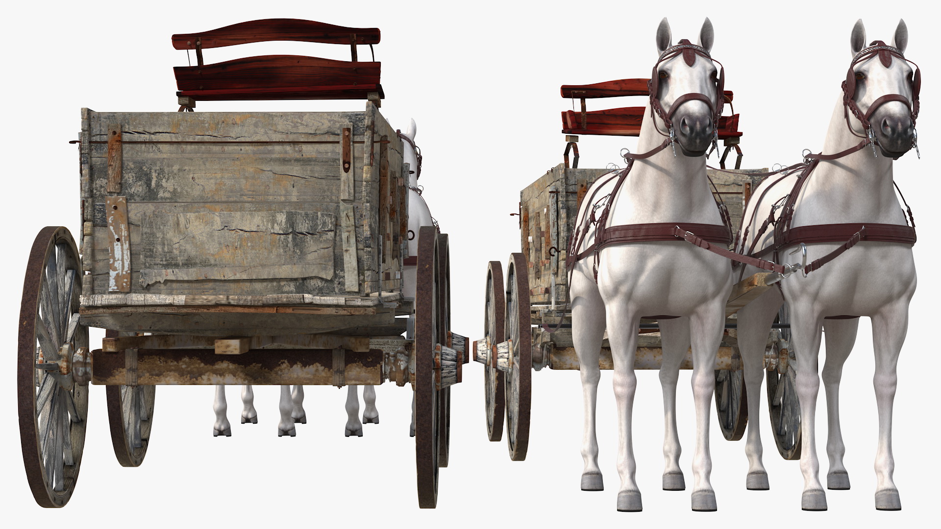 3D Pair Of White Horses with Wagon