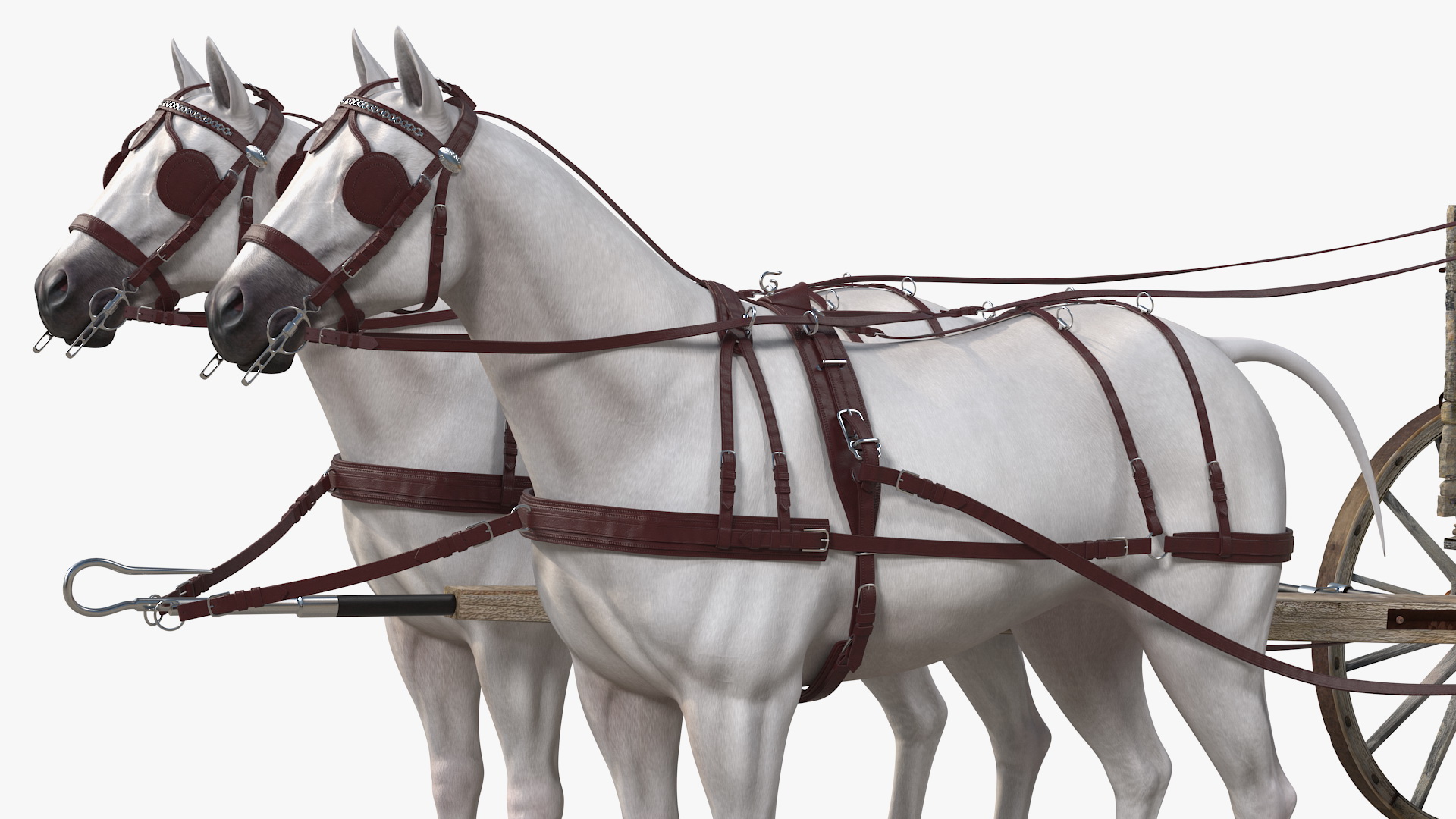 3D Pair Of White Horses with Wagon