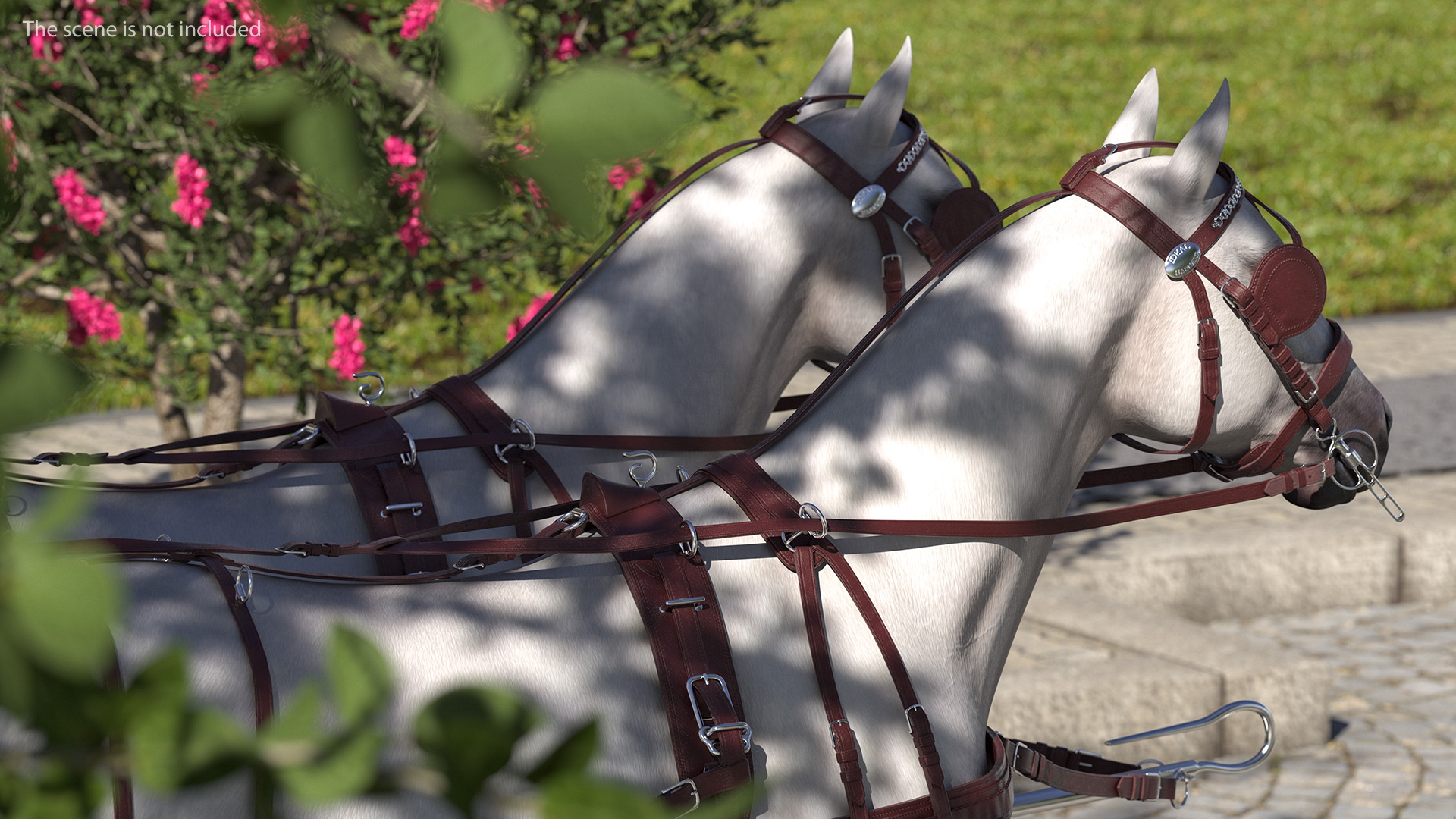 3D Pair Of White Horses with Wagon