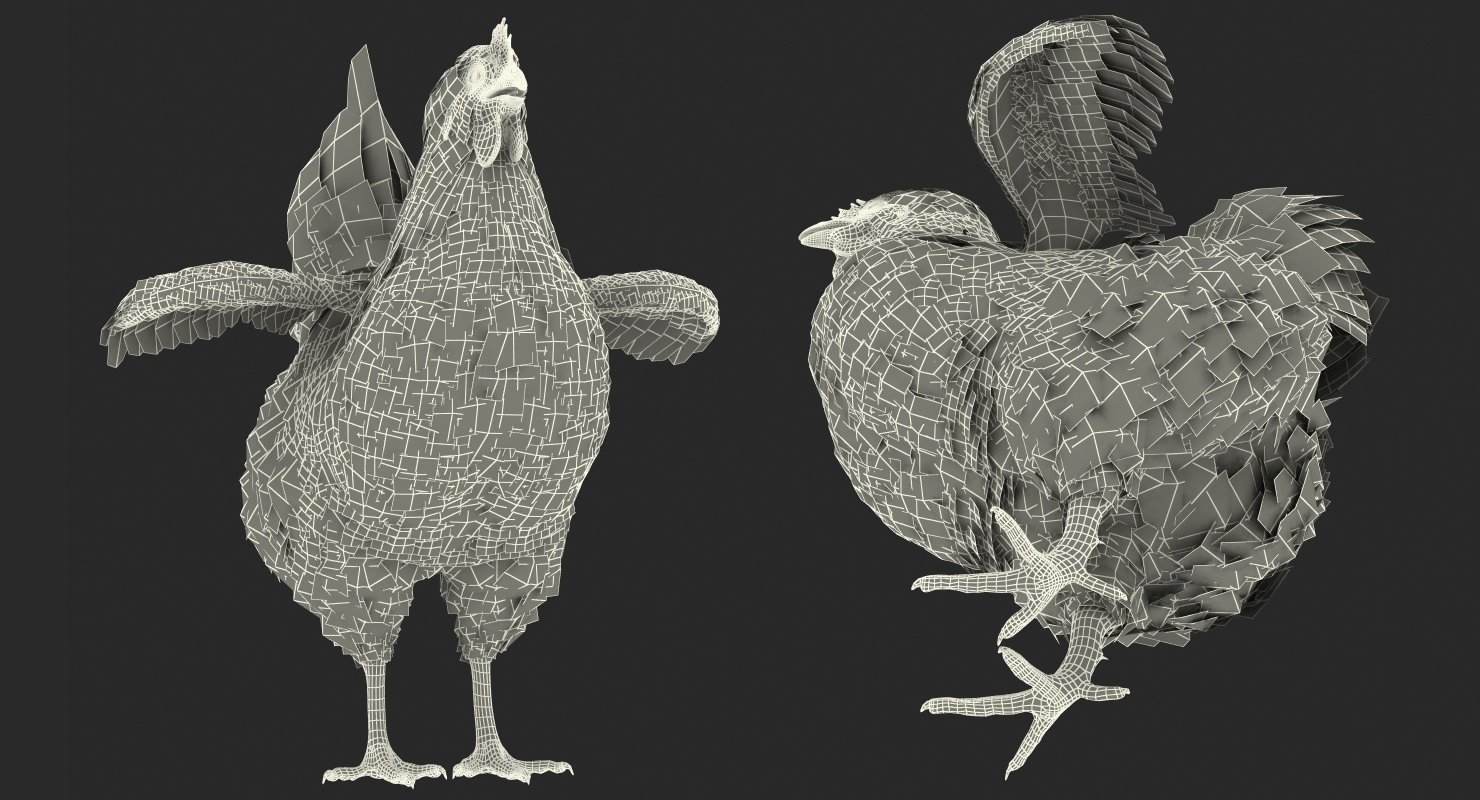 3D White Chicken model