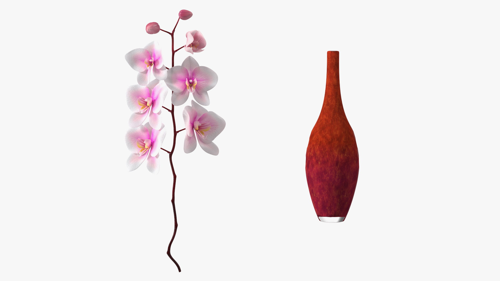 3D Glass Vase with Small Orchid Stem model