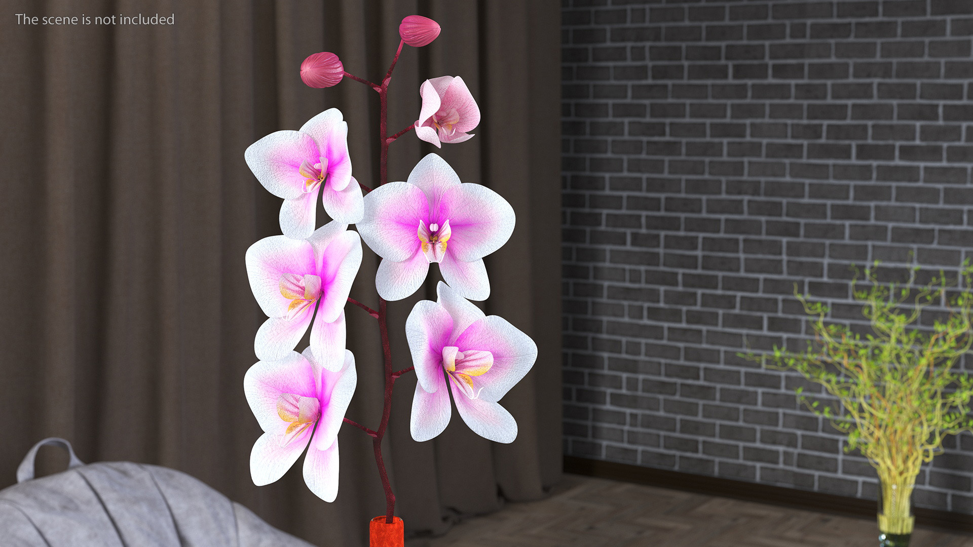 3D Glass Vase with Small Orchid Stem model