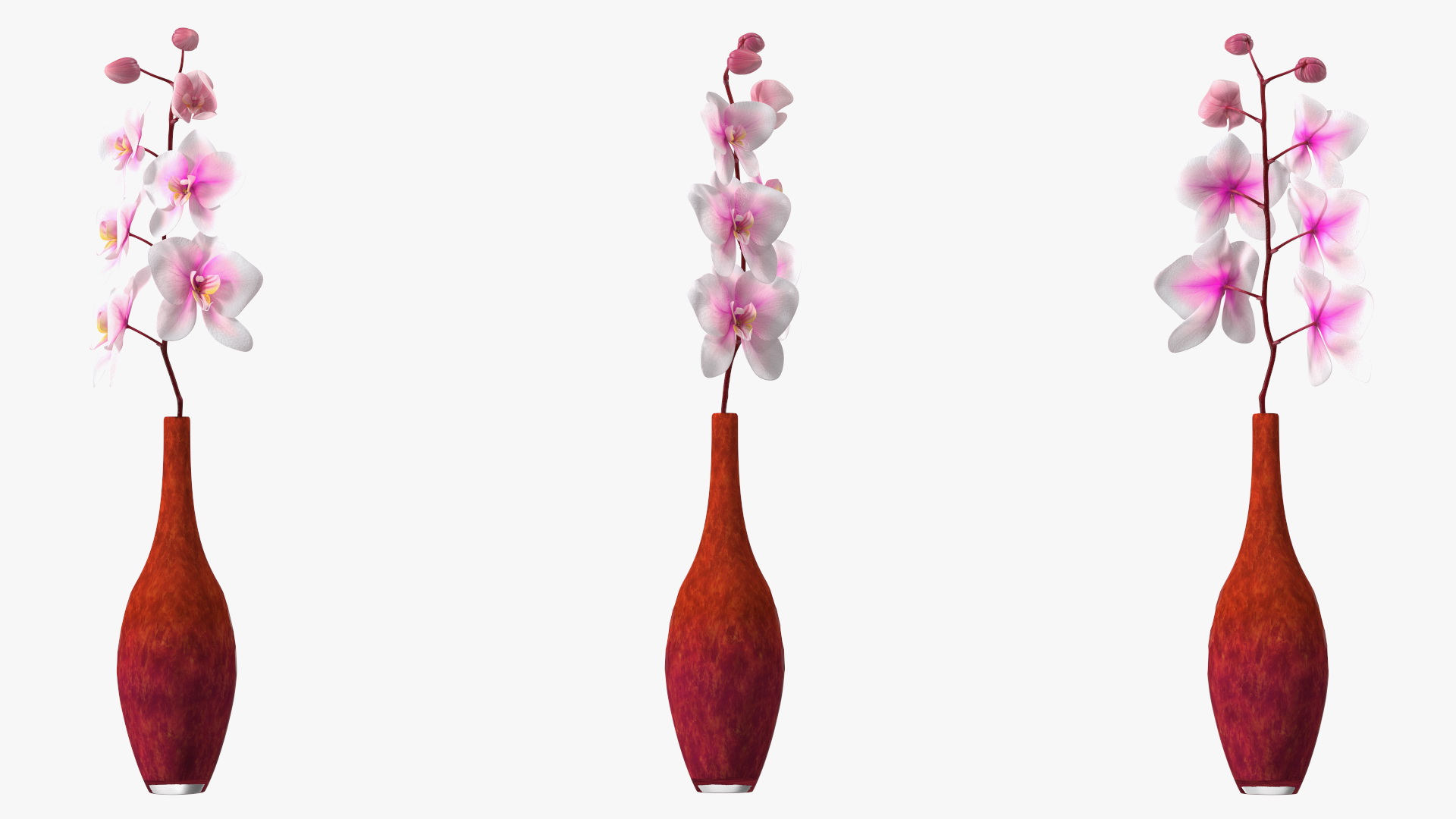 3D Glass Vase with Small Orchid Stem model