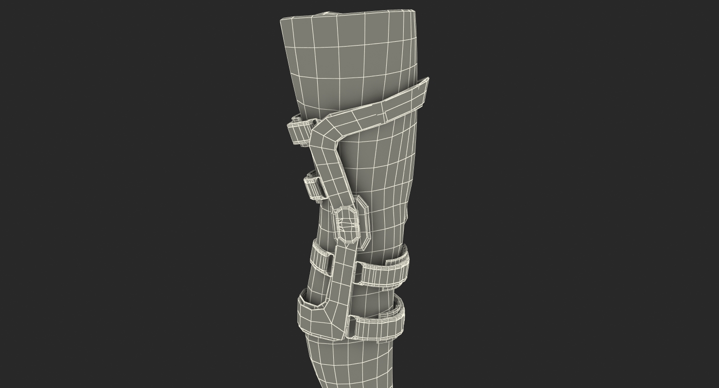 3D Upright Knee Brace model