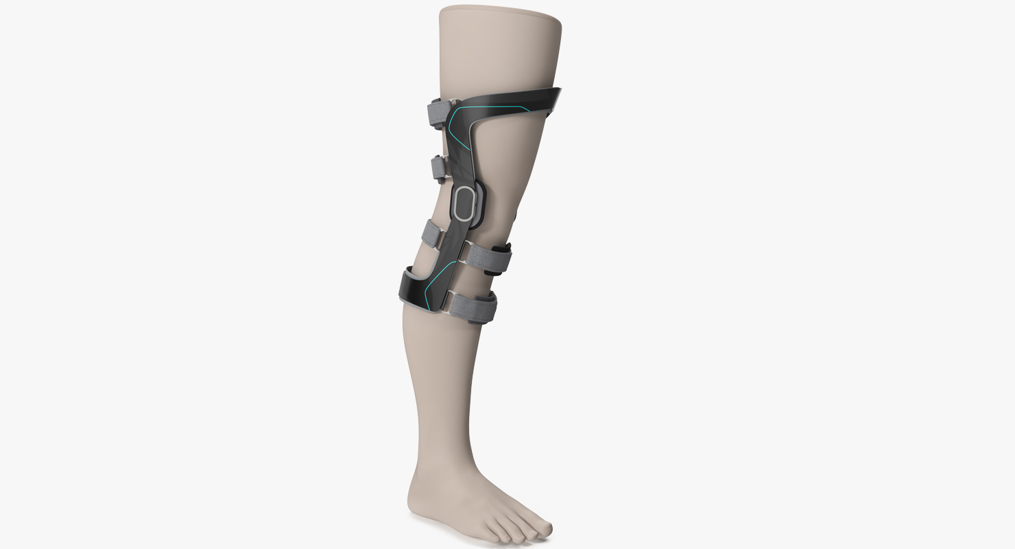3D Upright Knee Brace model