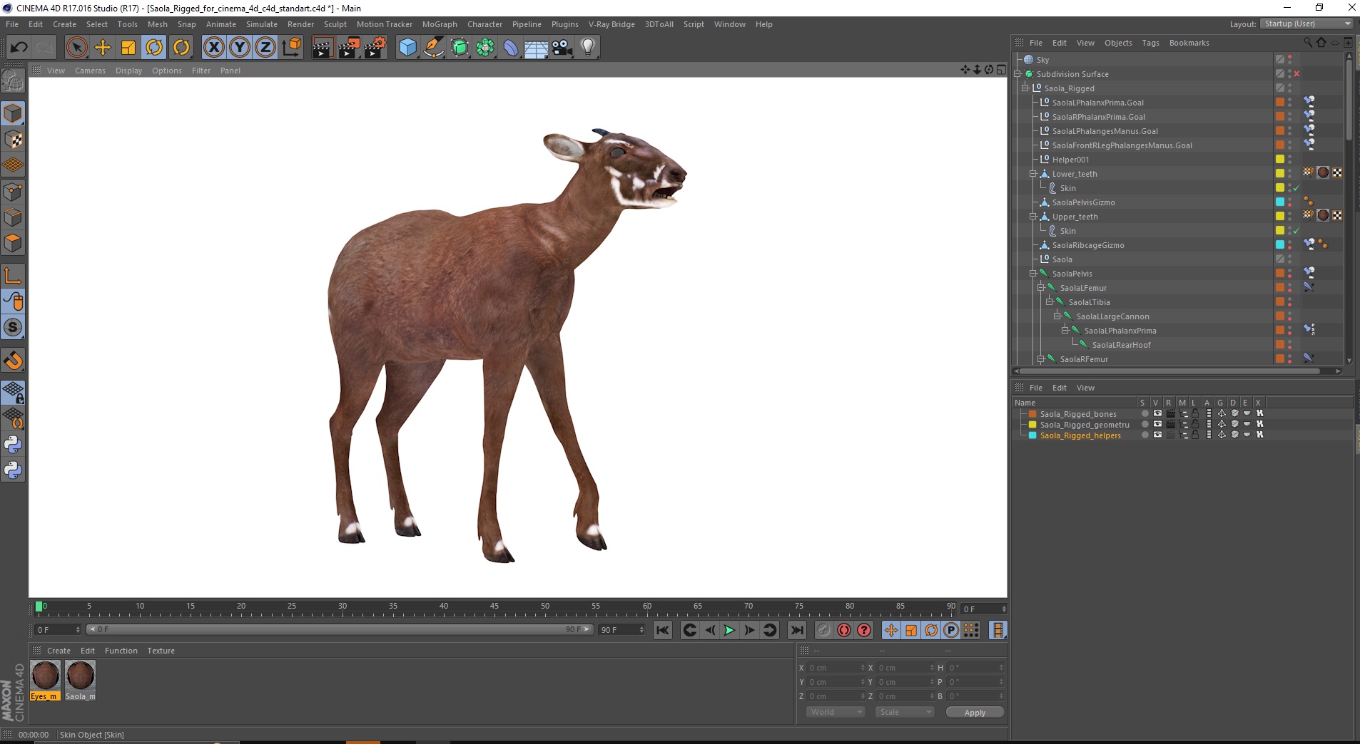 3D Saola Rigged for Cinema 4D
