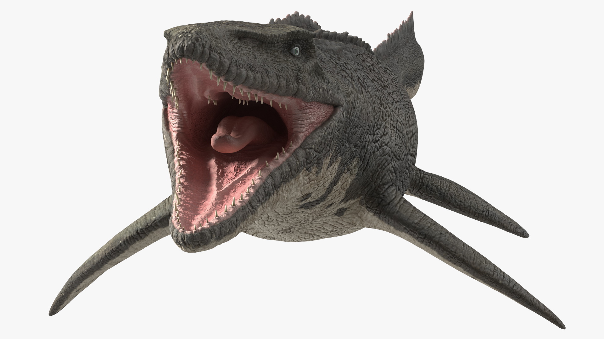3D model Mosasaurus Idle