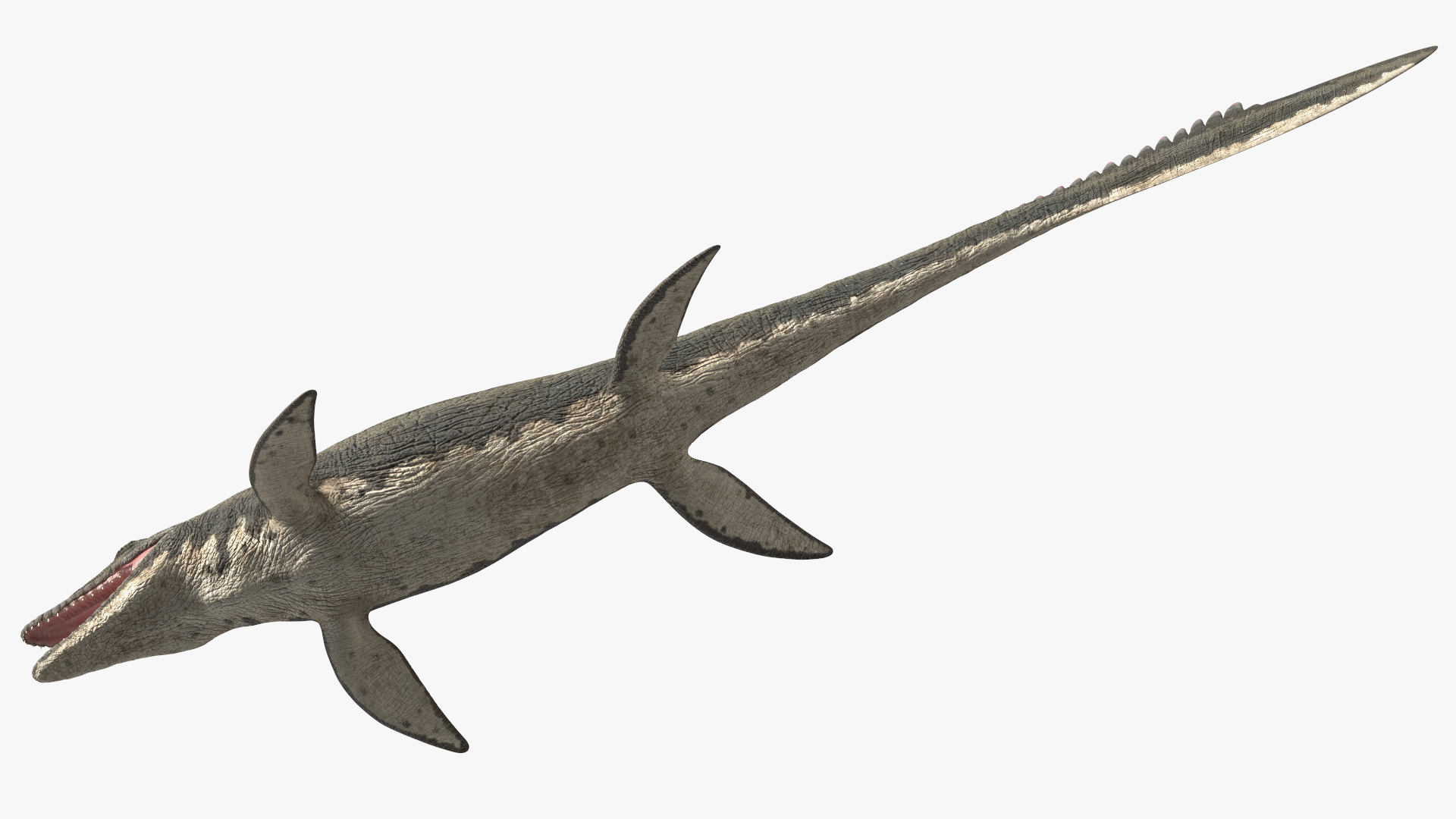 3D model Mosasaurus Idle
