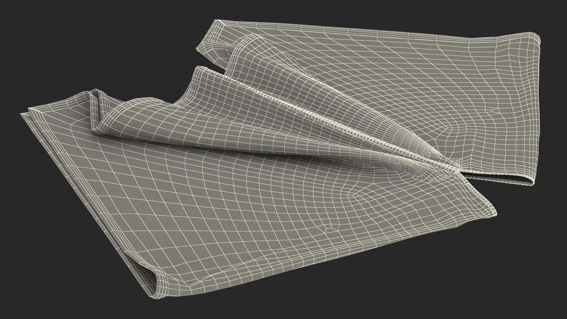 3D Ornamented Poncho Lying model