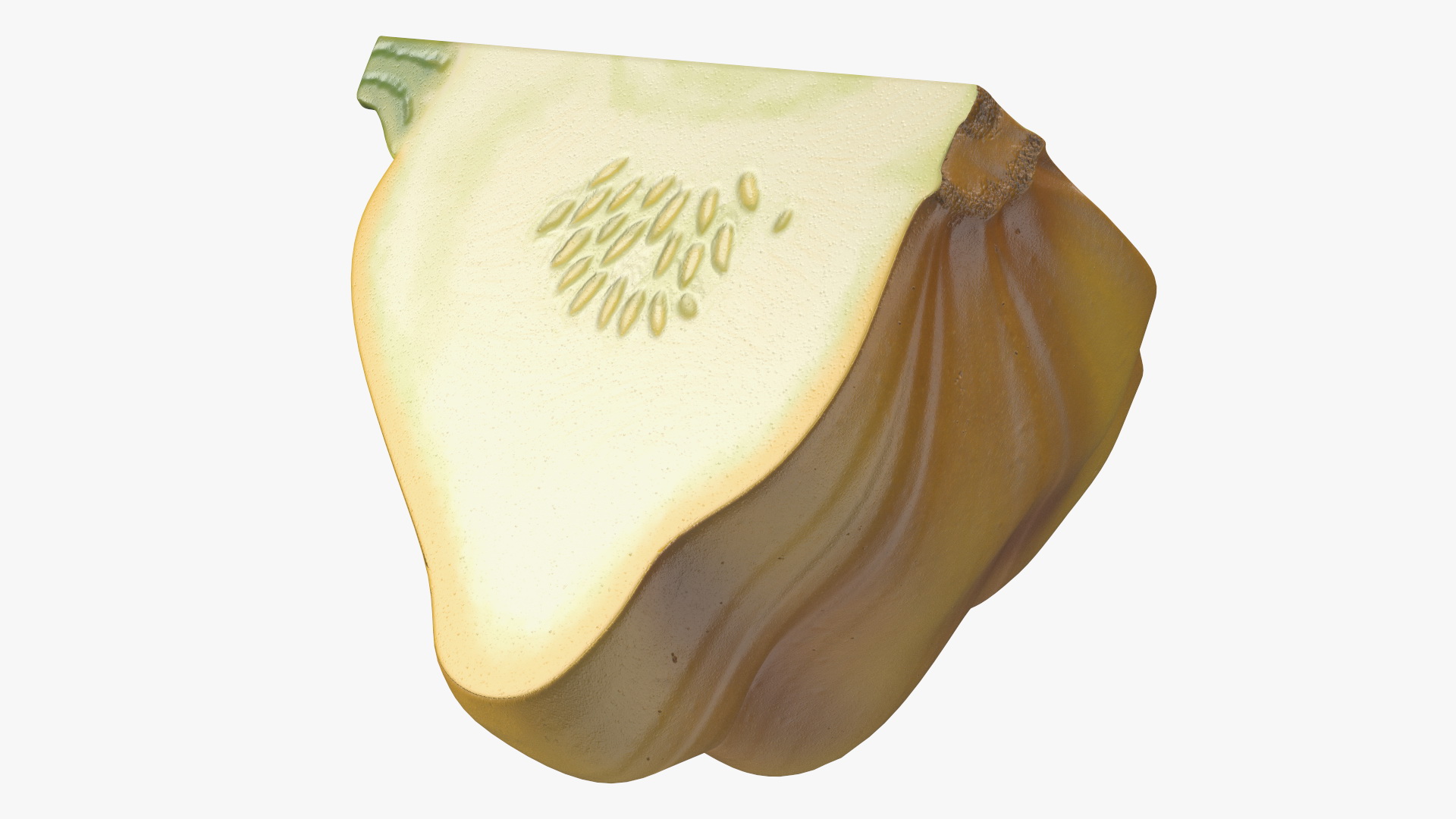 3D Quarter of Orange Color Bush Pumpkin