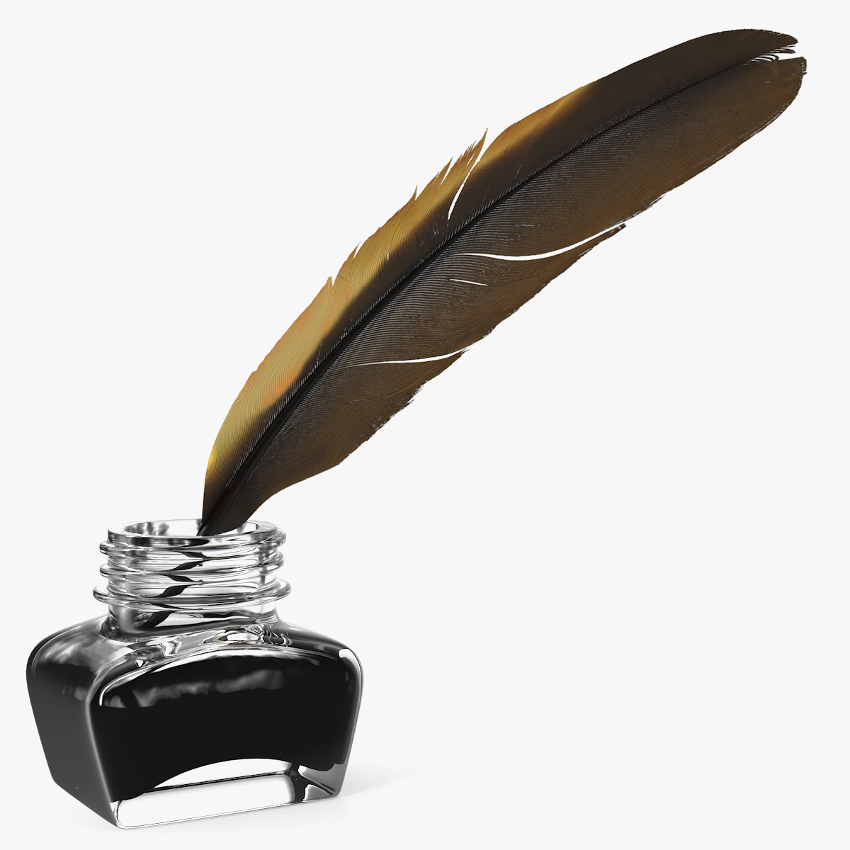 Quill Dark Feather Ink Set
