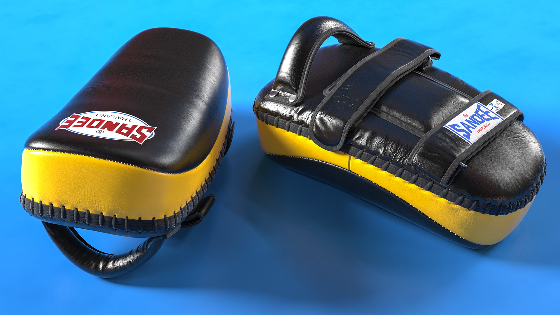 3D Sandee Curved Thai Leather Kick Pads