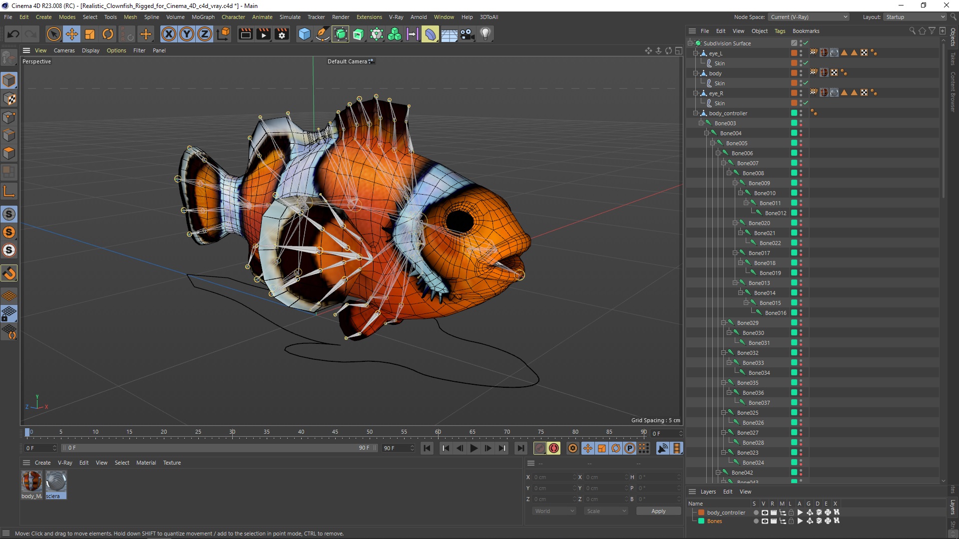 3D model Realistic Clownfish Rigged for Cinema 4D